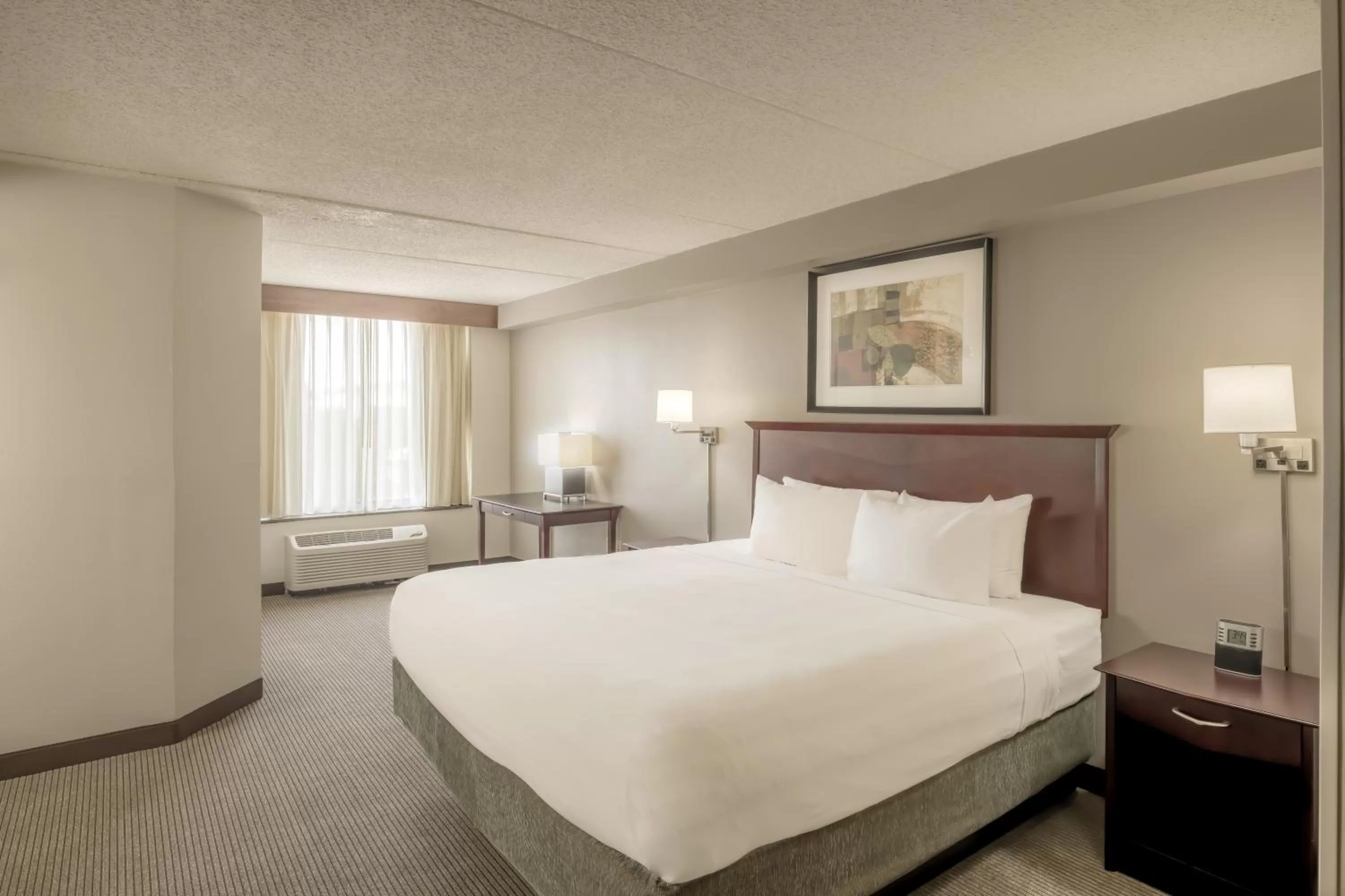 King Room with Sofa Bed and Accessible Tub - Disability Access in Hyatt Place College Station