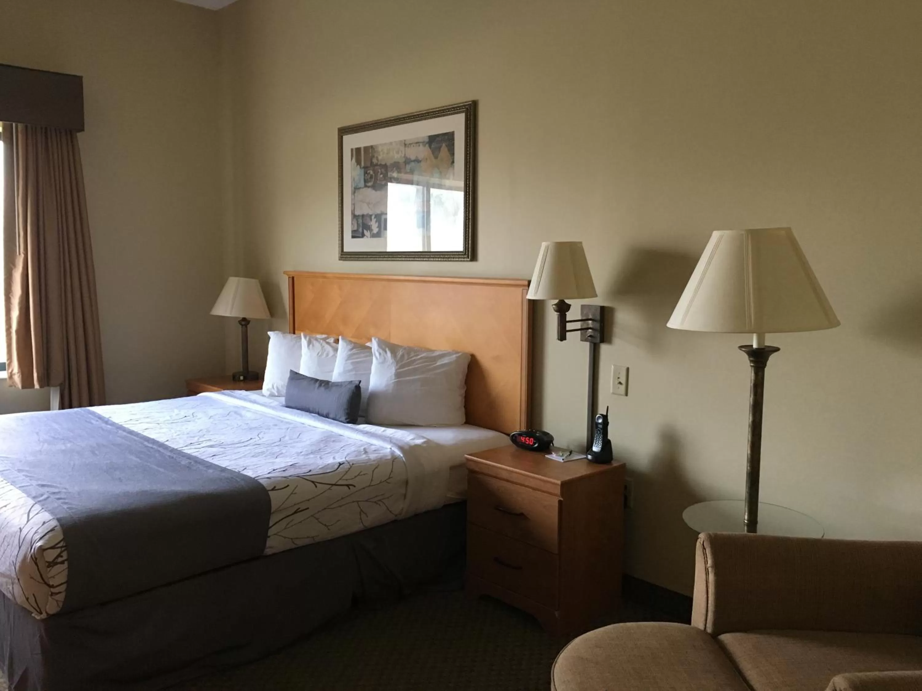 King Room - Mobility and Hearing Impaired Access/Non-Smoking in Wingate by Wyndham Coon Rapids