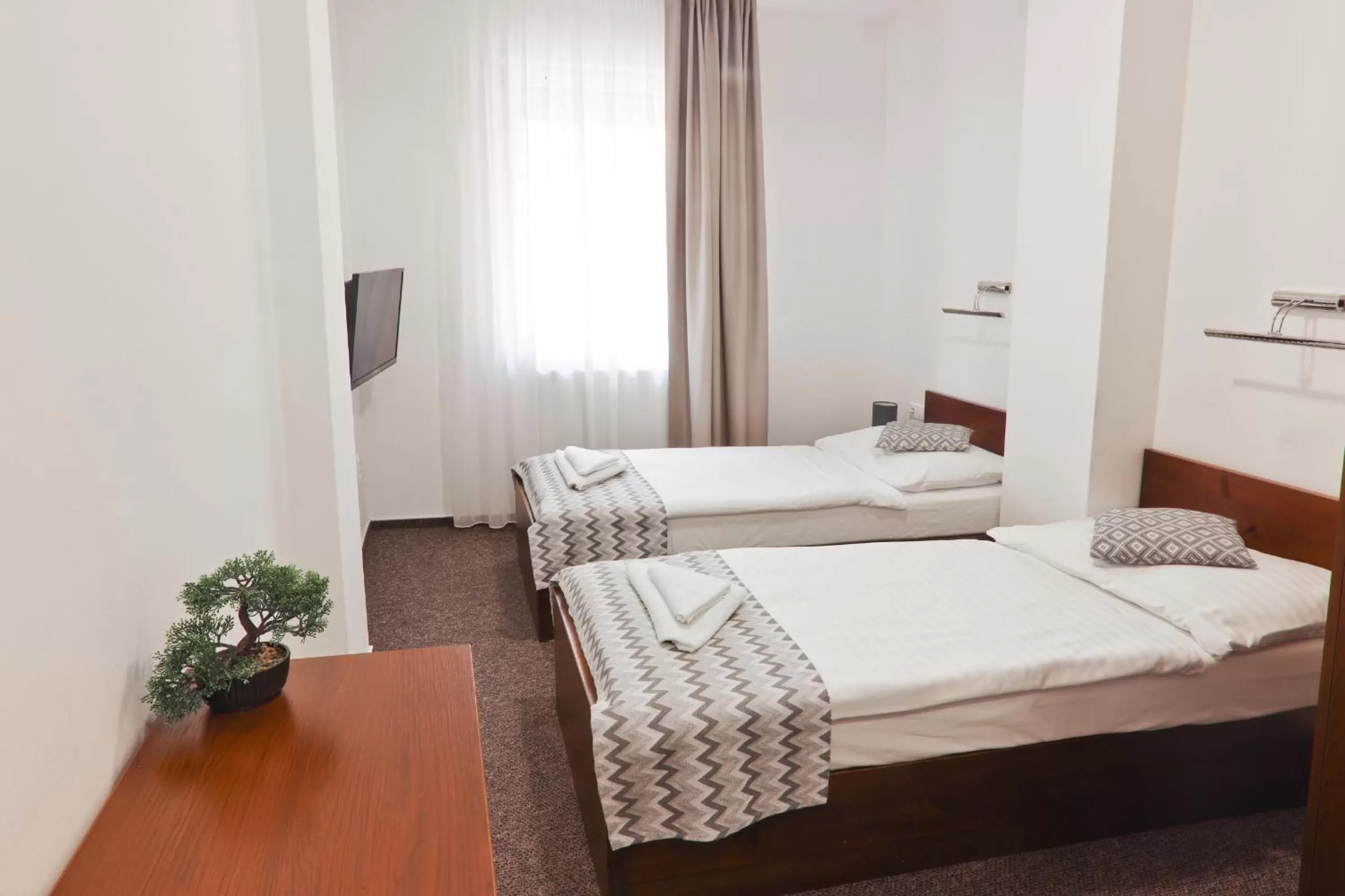 Standard Twin Room - single occupancy in Hotel Slanica