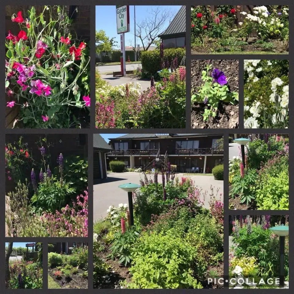 Garden City Motel Garden City Motel