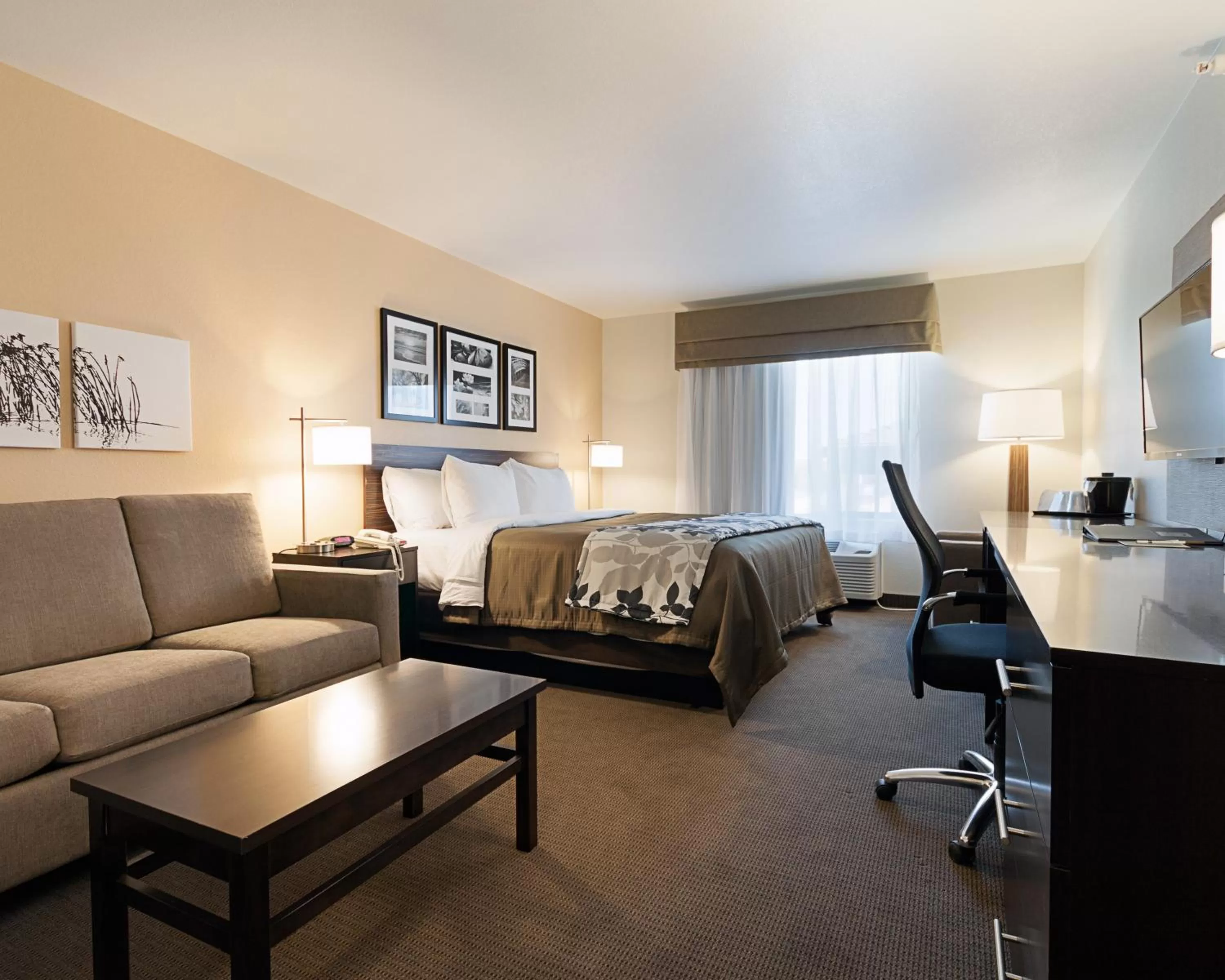 King Suite - Accessible/Non-Smoking in Sleep Inn & Suites Carlsbad Caverns Area