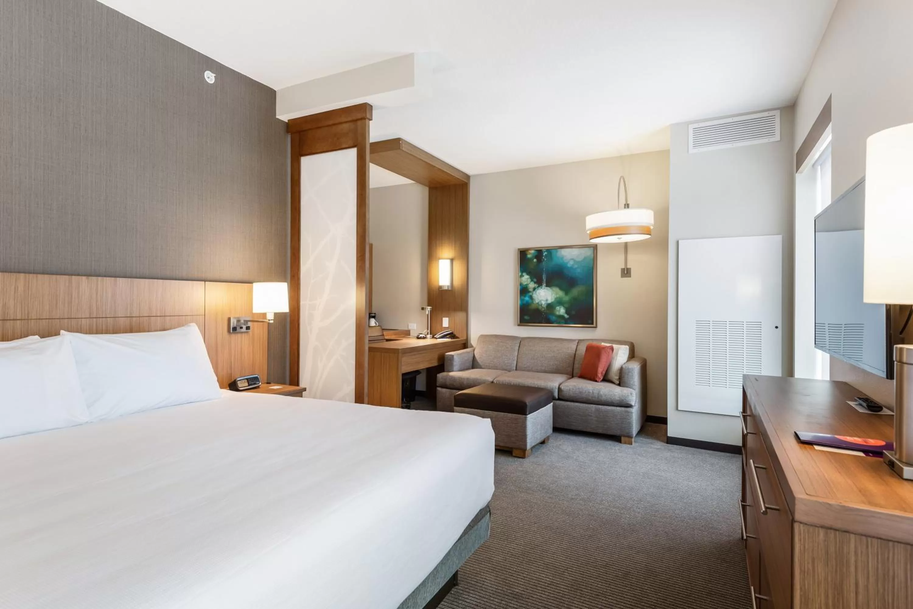 King Room with Roll-In Shower - Disability Access in Hyatt Place Tampa/Wesley Chapel