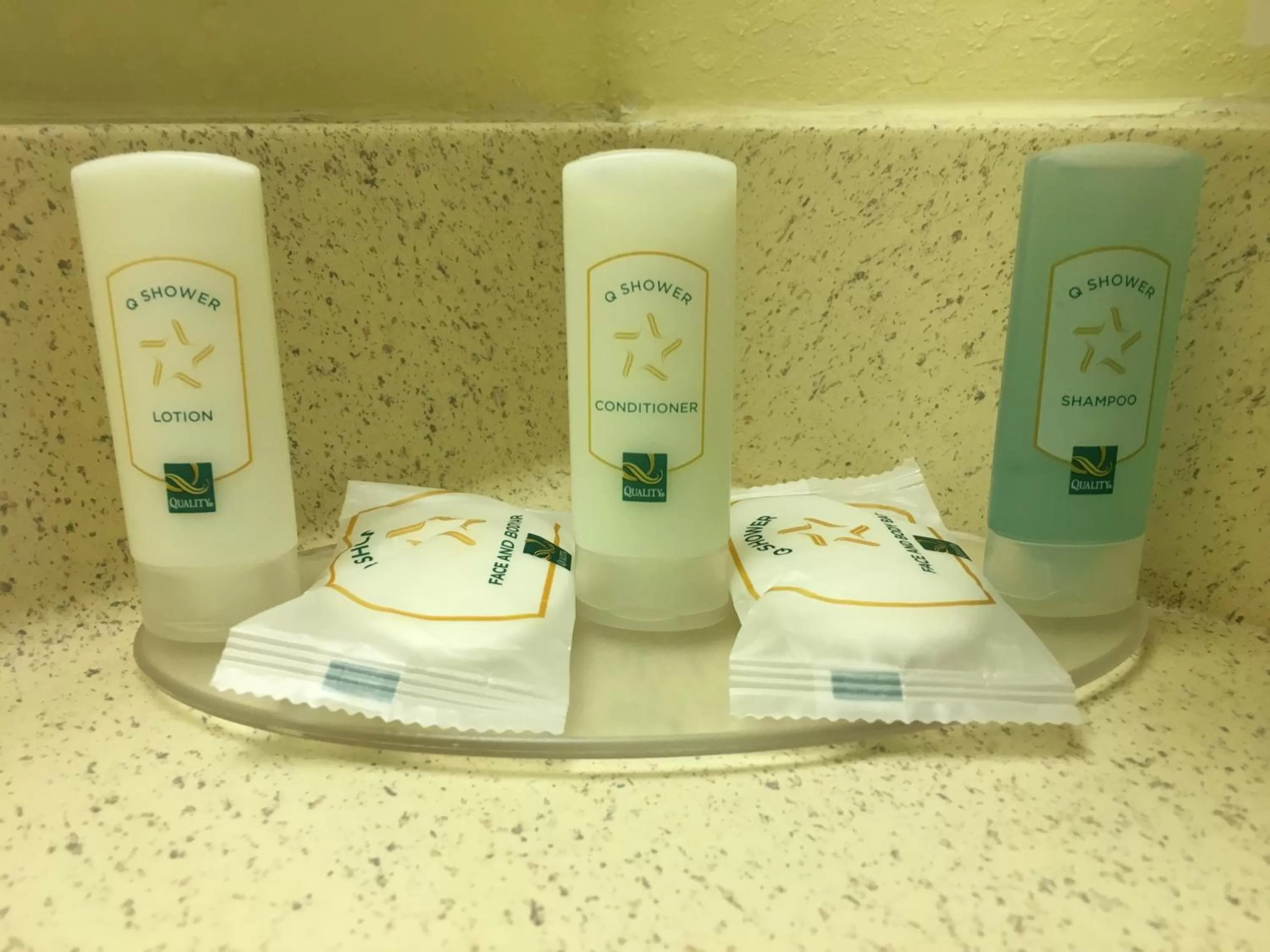 Double Room - Non-Smoking  in Quality Inn & Suites Ridgeland