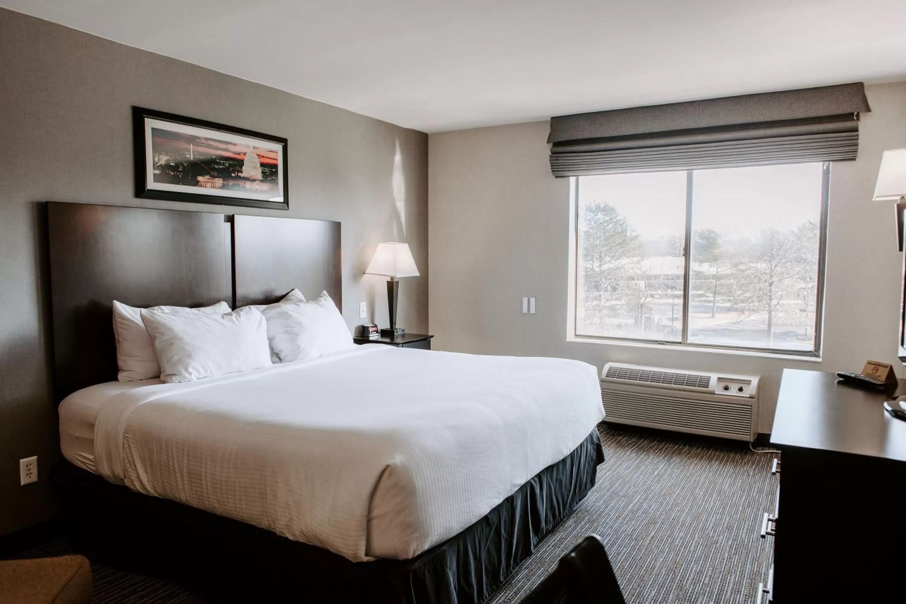 King Room - Non-Smoking in Wingate by Wyndham - Dulles International