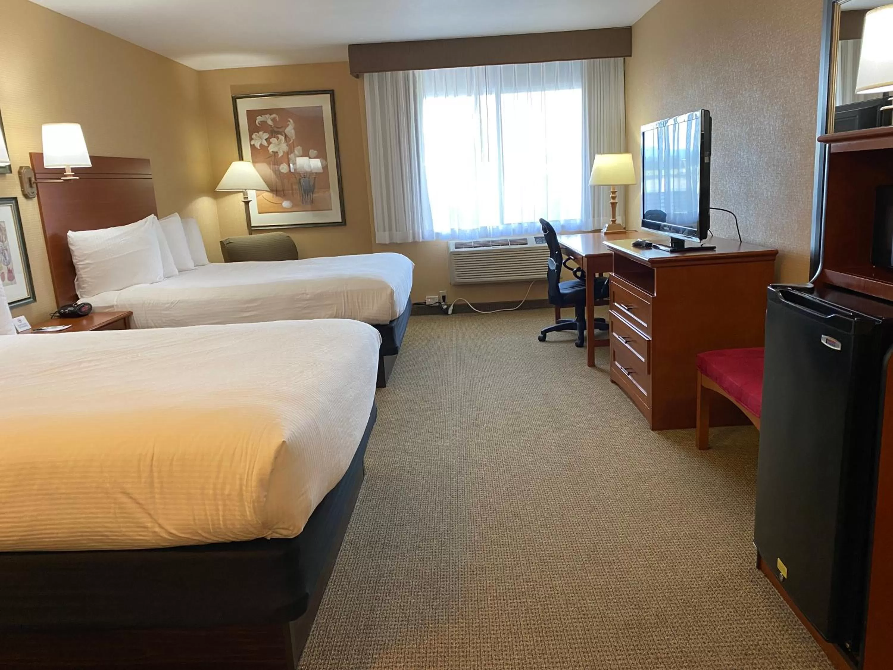 Queen Room with Two Queen Beds, Mobility Access and Roll-In shower, Non-Smoking in Wingate by Wyndham Mount Vernon