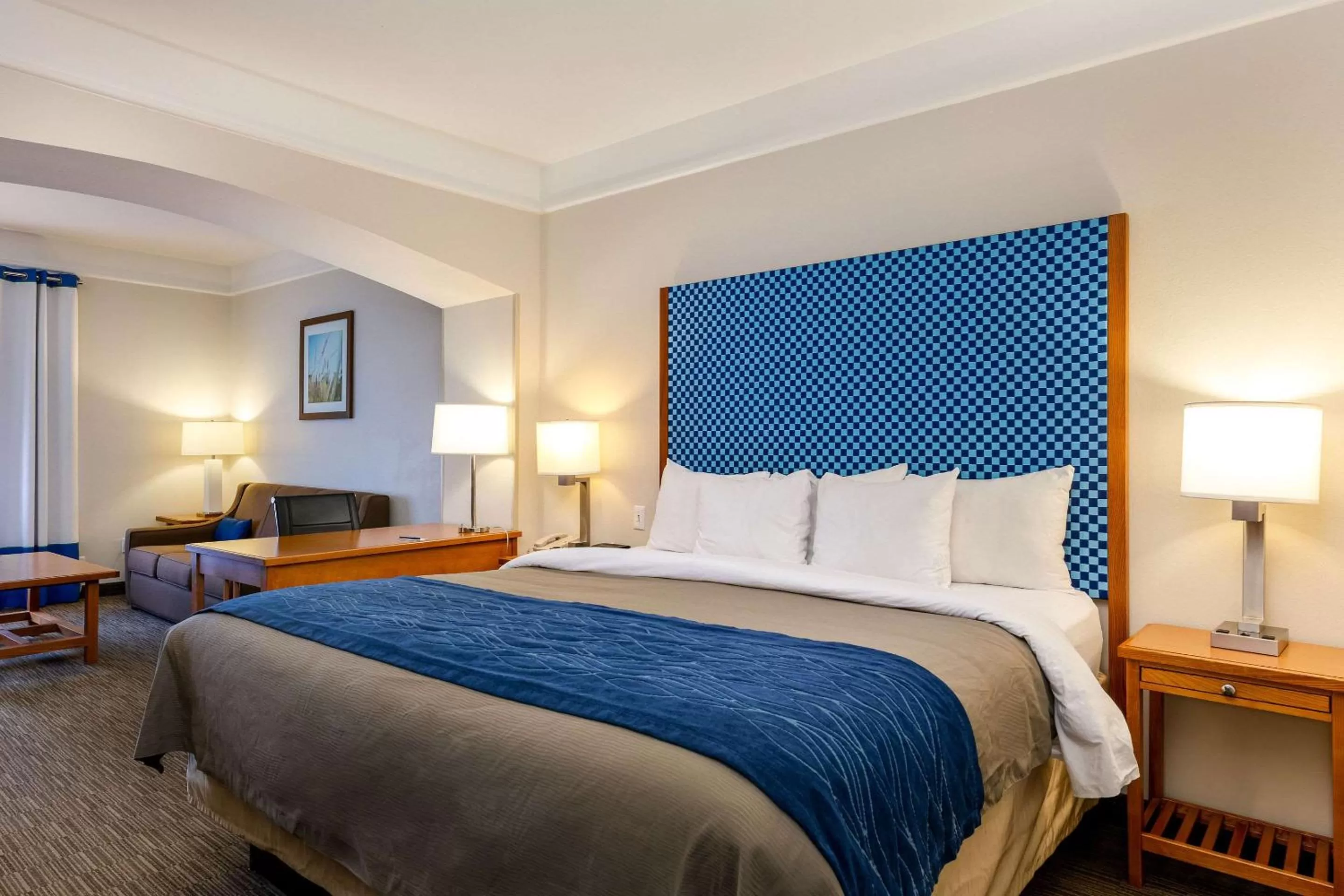 Executive King Suite - Non-Smoking in Spark by Hilton Savannah Airport