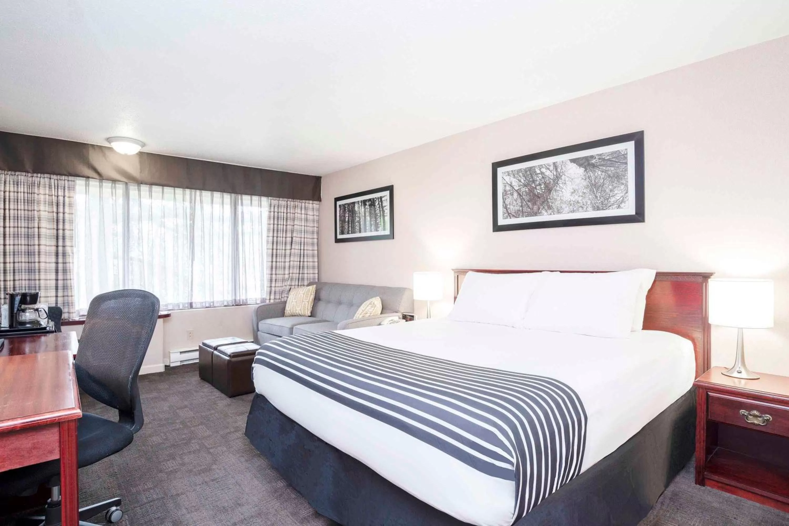 Standard Room, 1 King Bed, Sofa Bed in Sandman Hotel Terrace