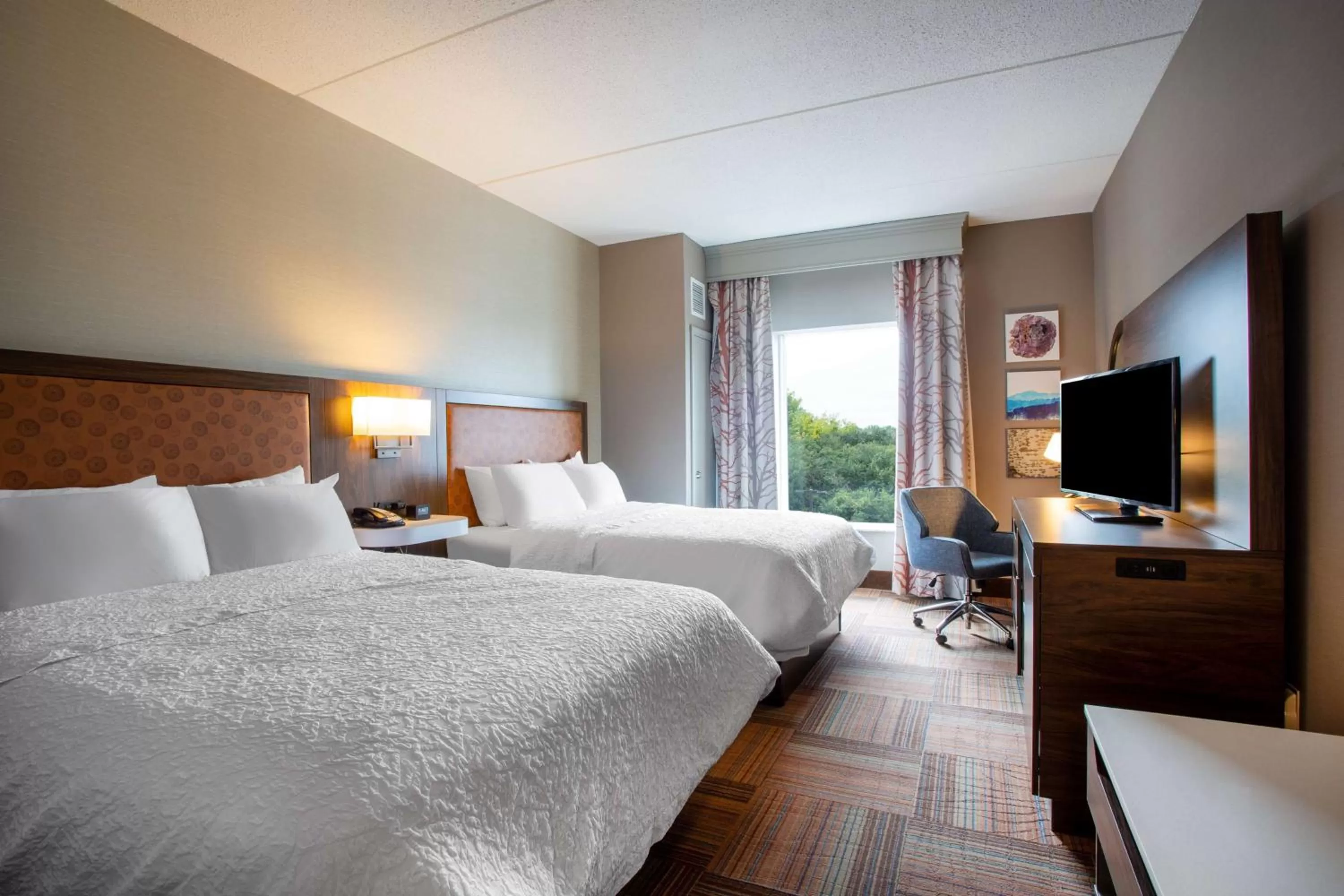 Queen Room with Two Queen Beds - Non-Smoking in Hampton Inn Watertown