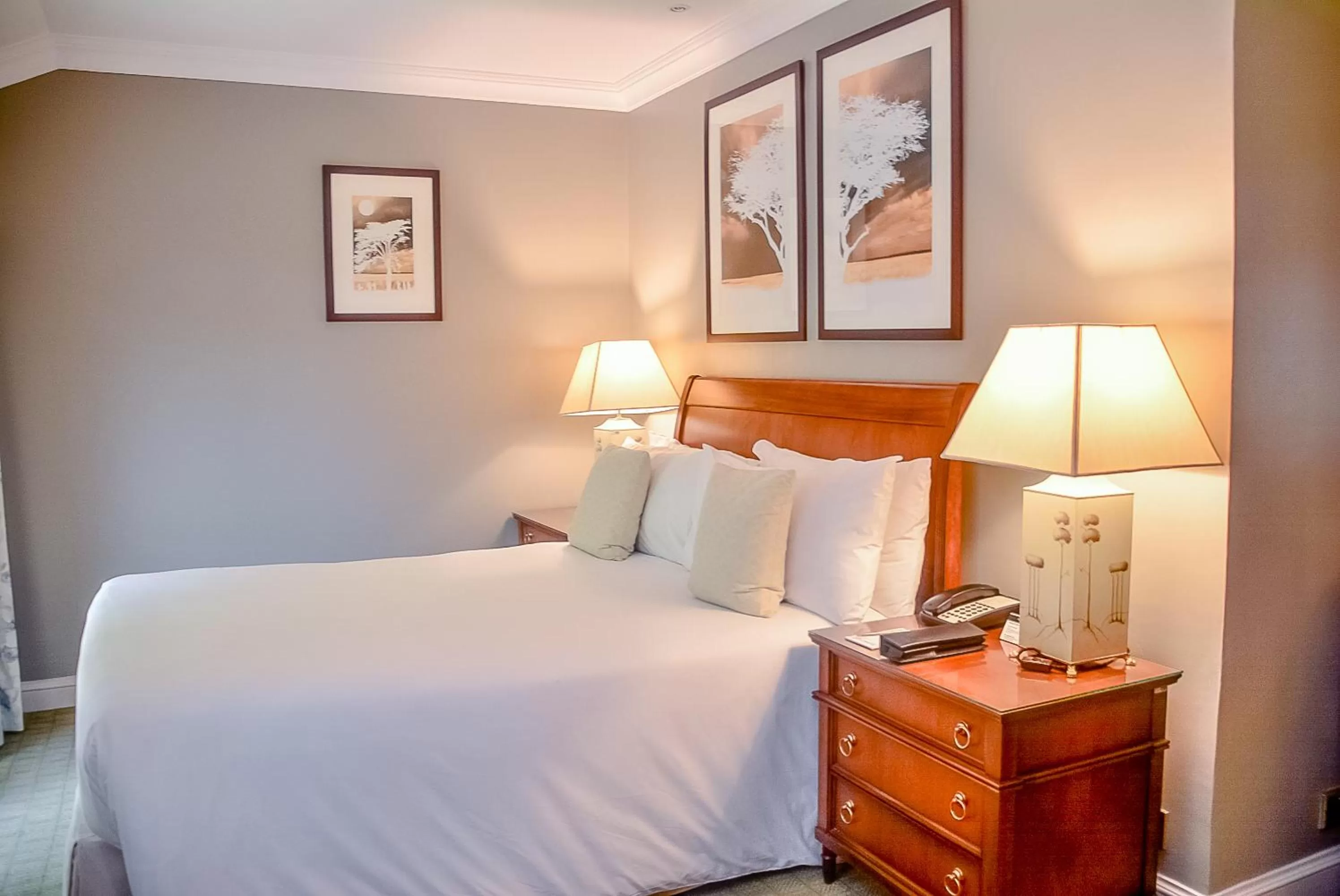 Junior Queen Suite in Fairmont The Norfolk