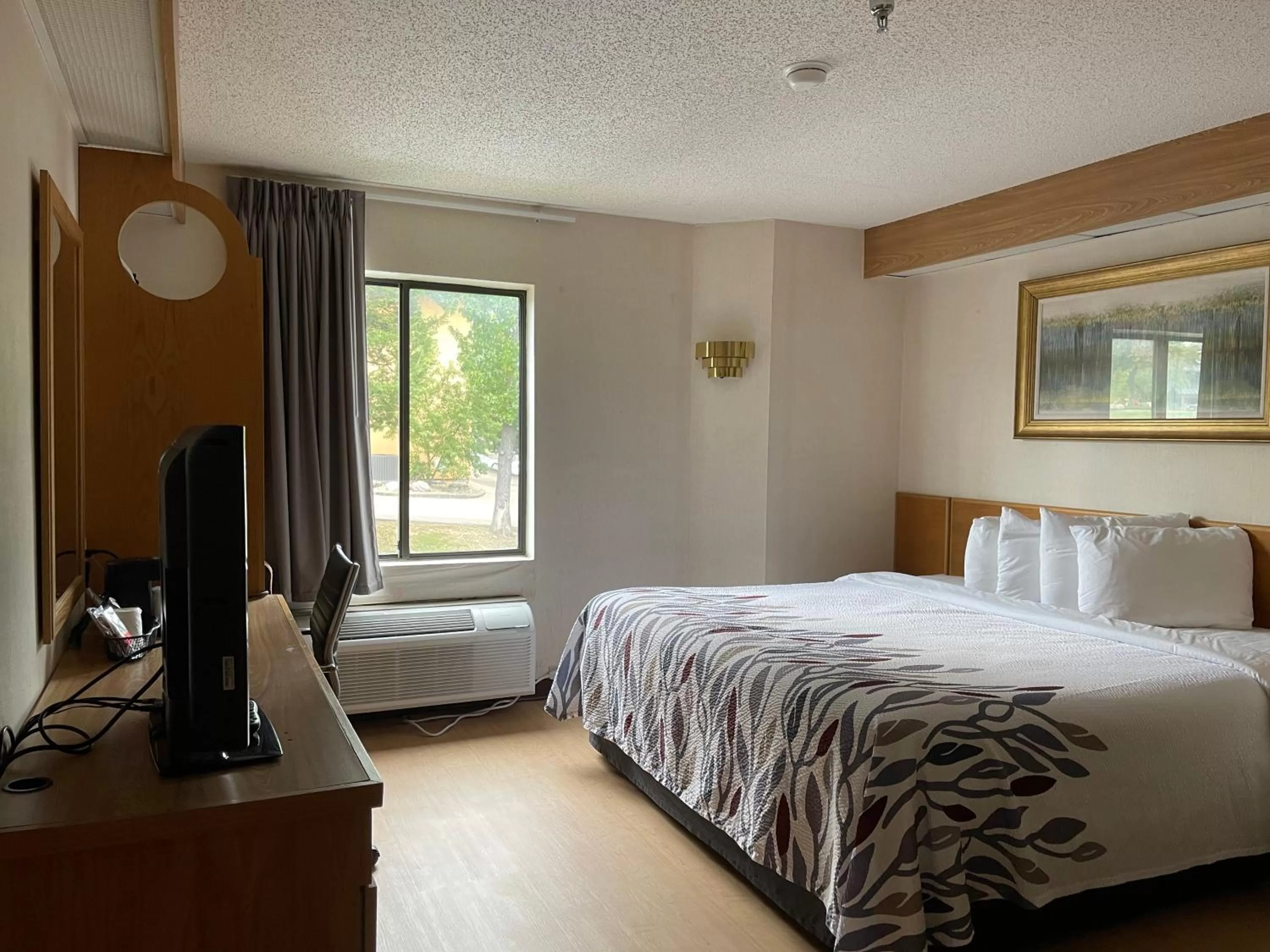 Superior King Room Non-Smoking in Red Roof Inn Branson