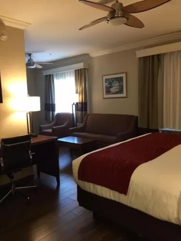 King Room - Accessible/Non-Smoking in Comfort Inn Early Brownwood
