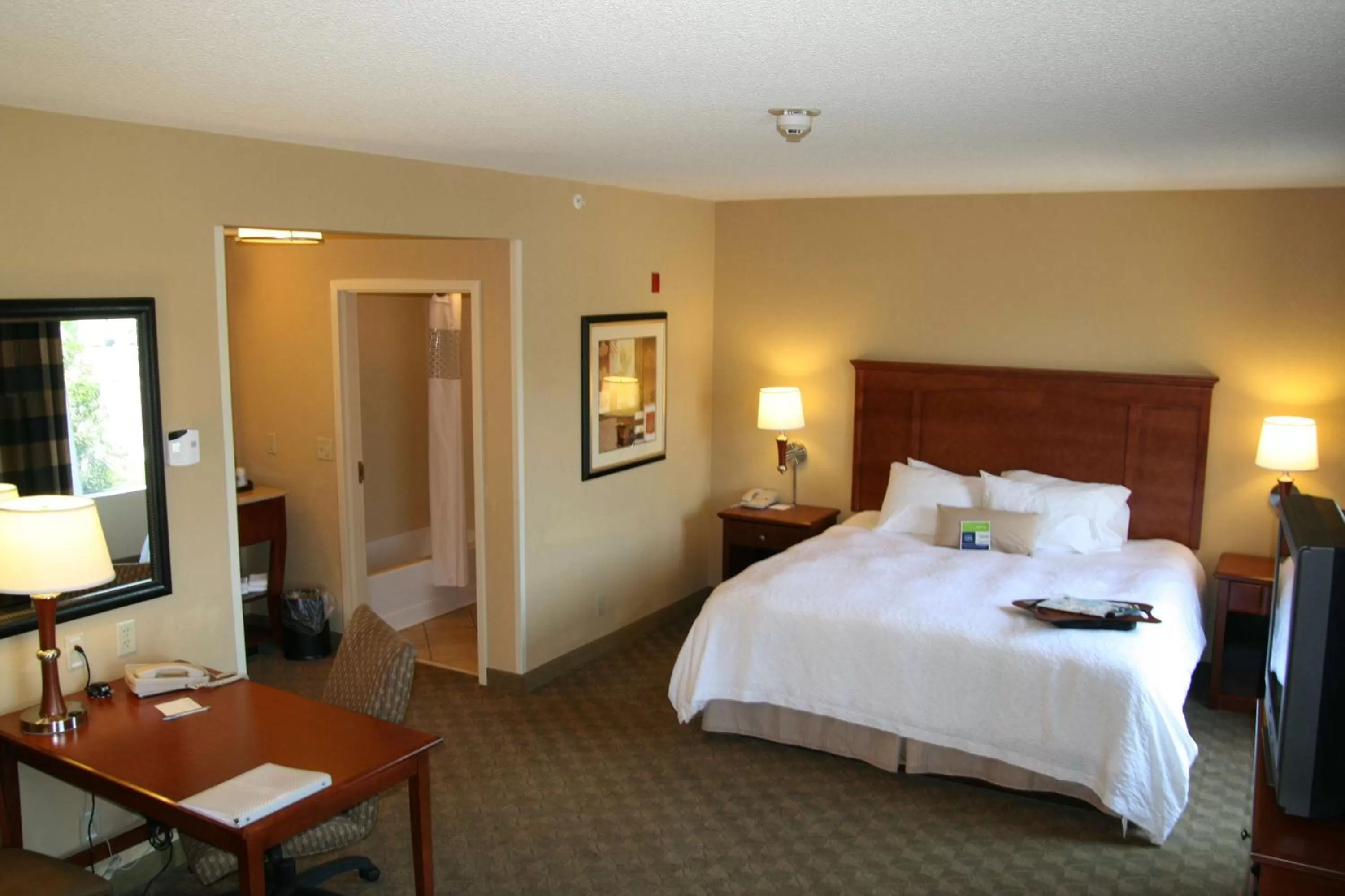 King Studio Suite - Non-Smoking in Hampton Inn & Suites Paducah