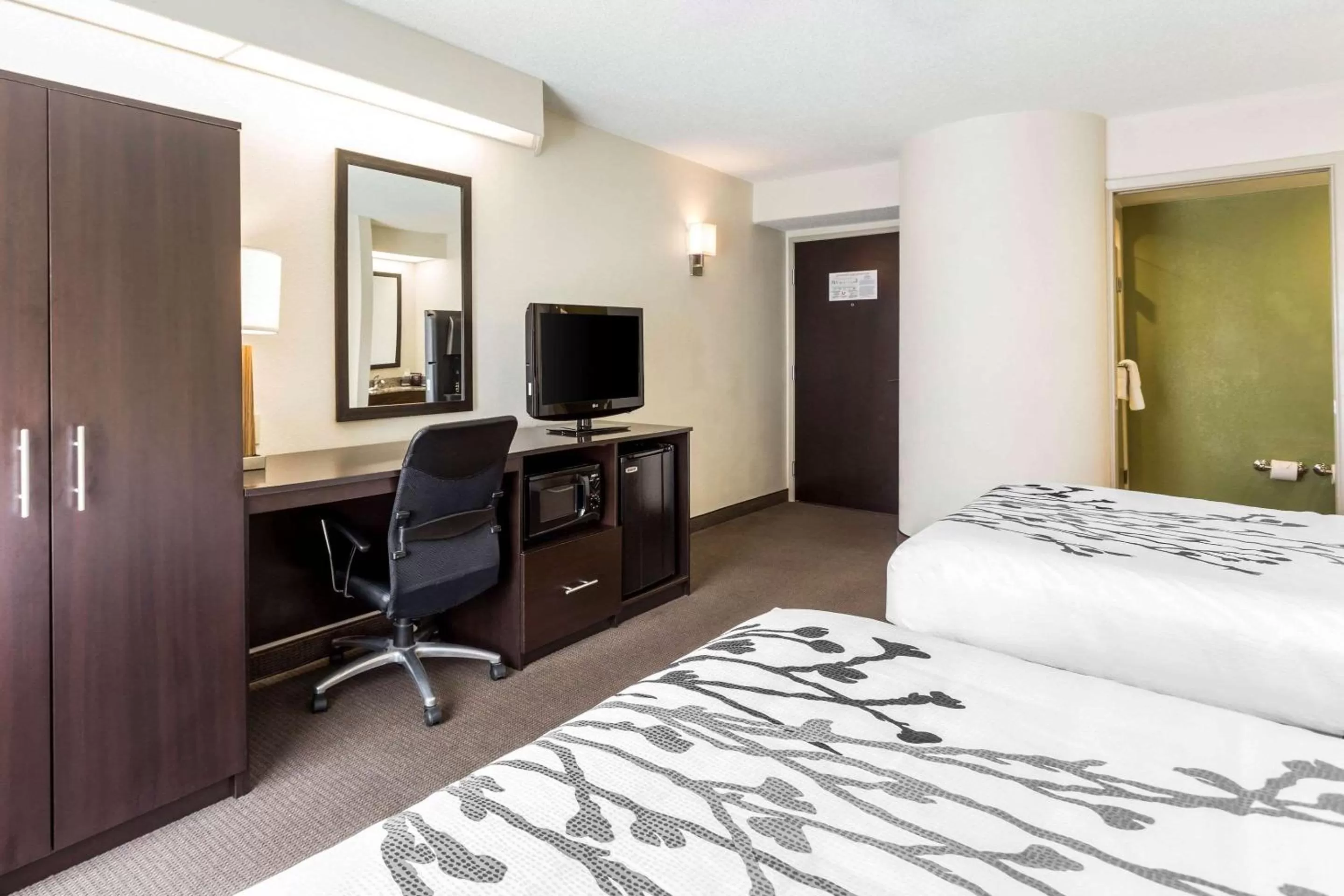 Queen Room with Accessible Tub - Accessible/Non-Smoking in Sleep Inn Charleston - West Ashley