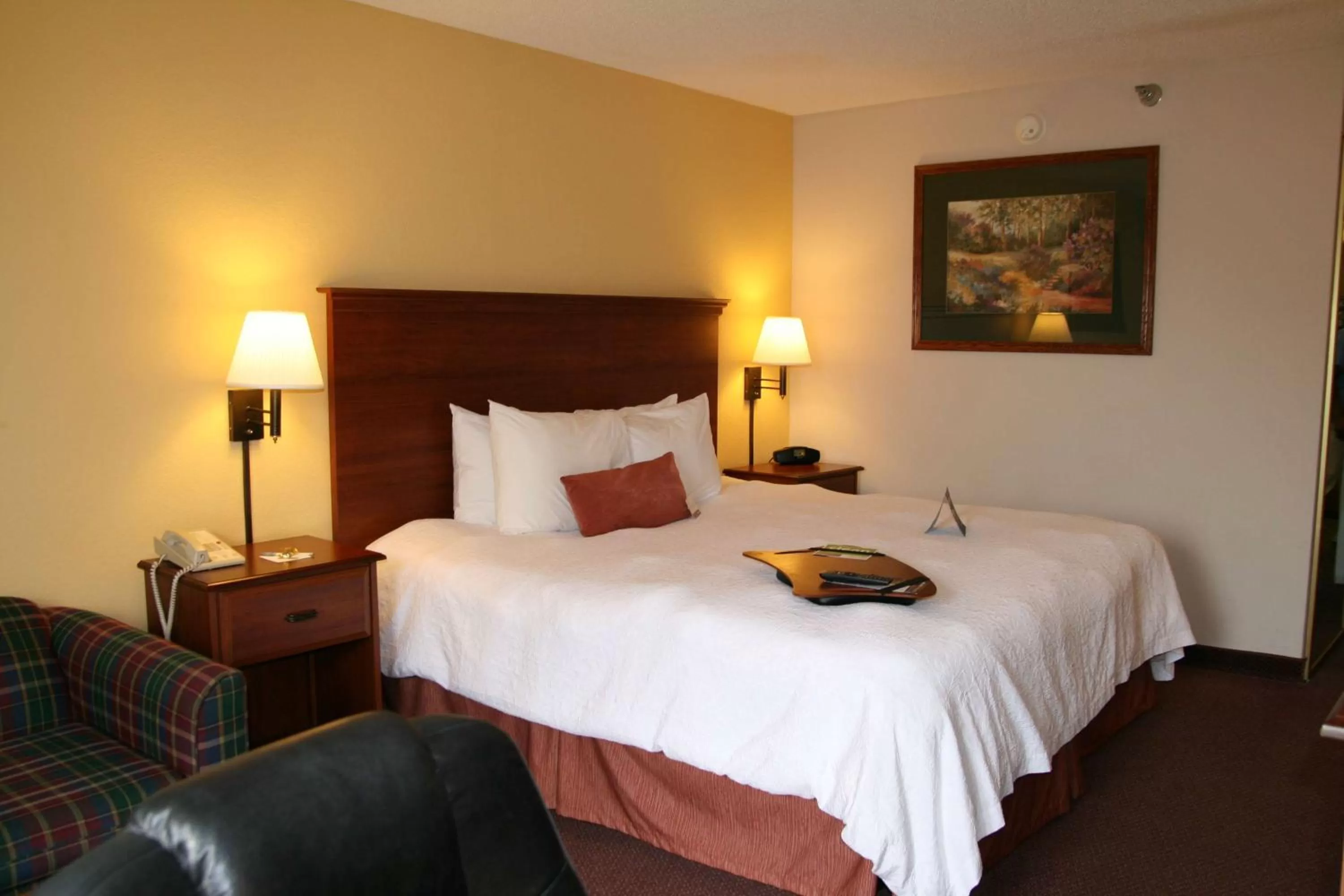 King Study Room - Non-Smoking in Hampton Inn Laurinburg