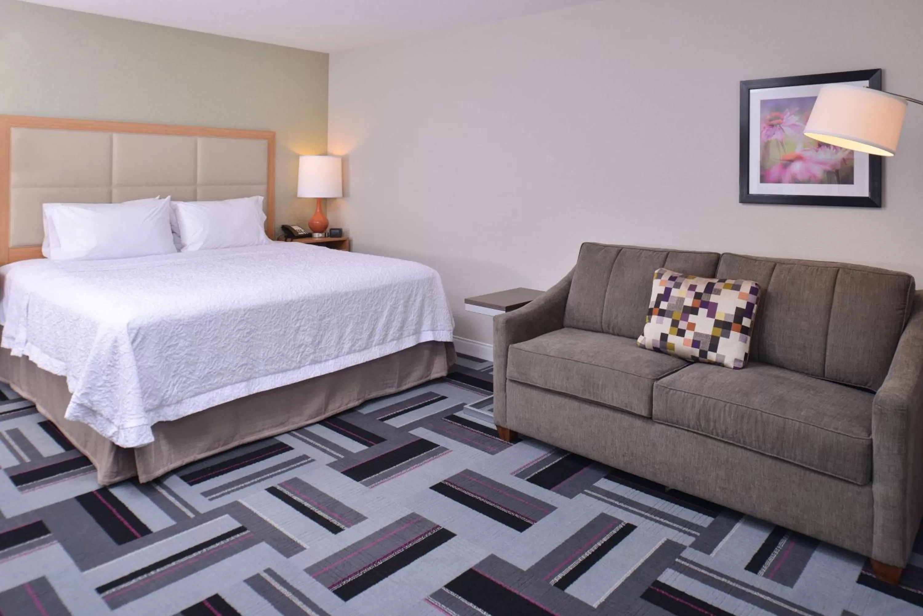 King Room with Sofa Bed - Non-Smoking in Hampton Inn and Suites Ames, IA