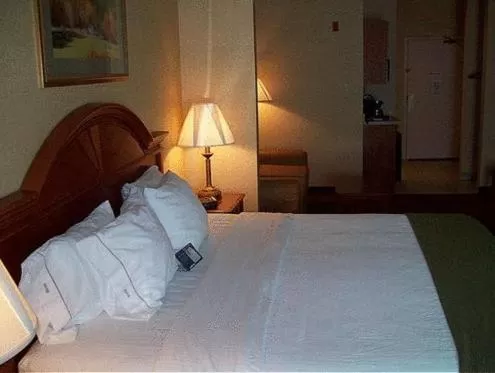 Holiday Inn Express Hotel & Suites Drums-Hazelton by IHG