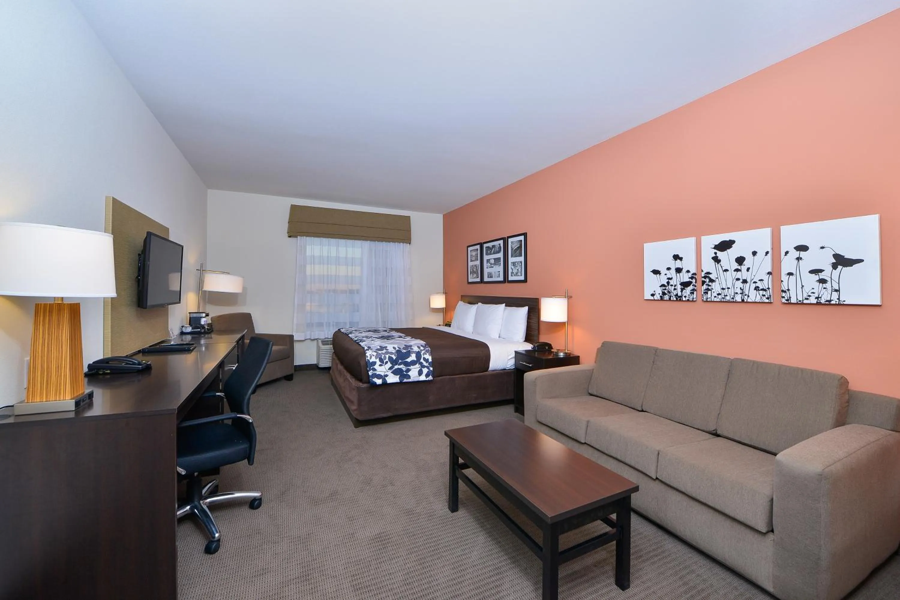 King Room with Roll-In Shower - Accessible/Non-Smoking in Sleep Inn & Suites Austin – Tech Center