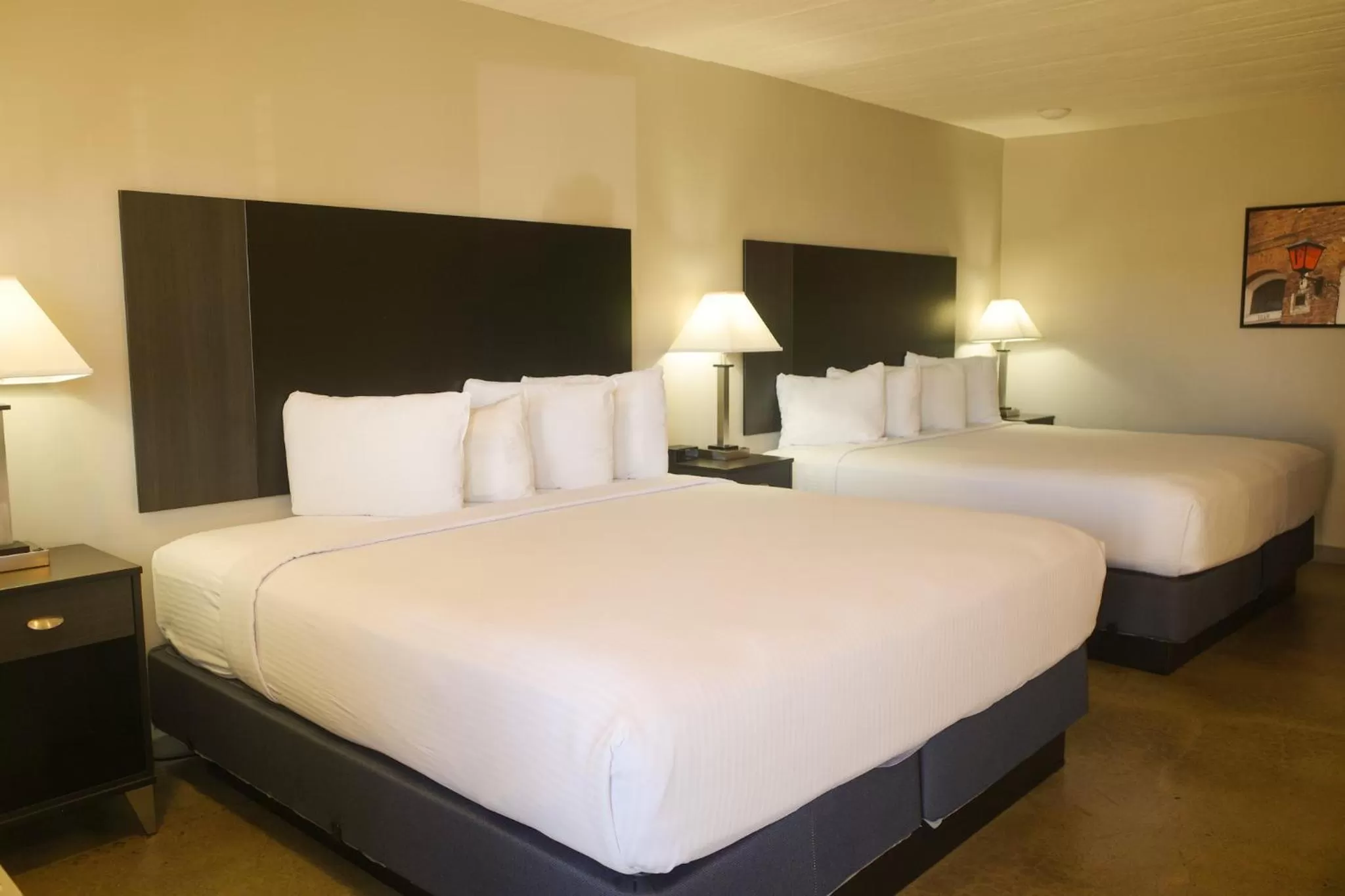 Double King - Pet Friendly in Americana Modern Hotel