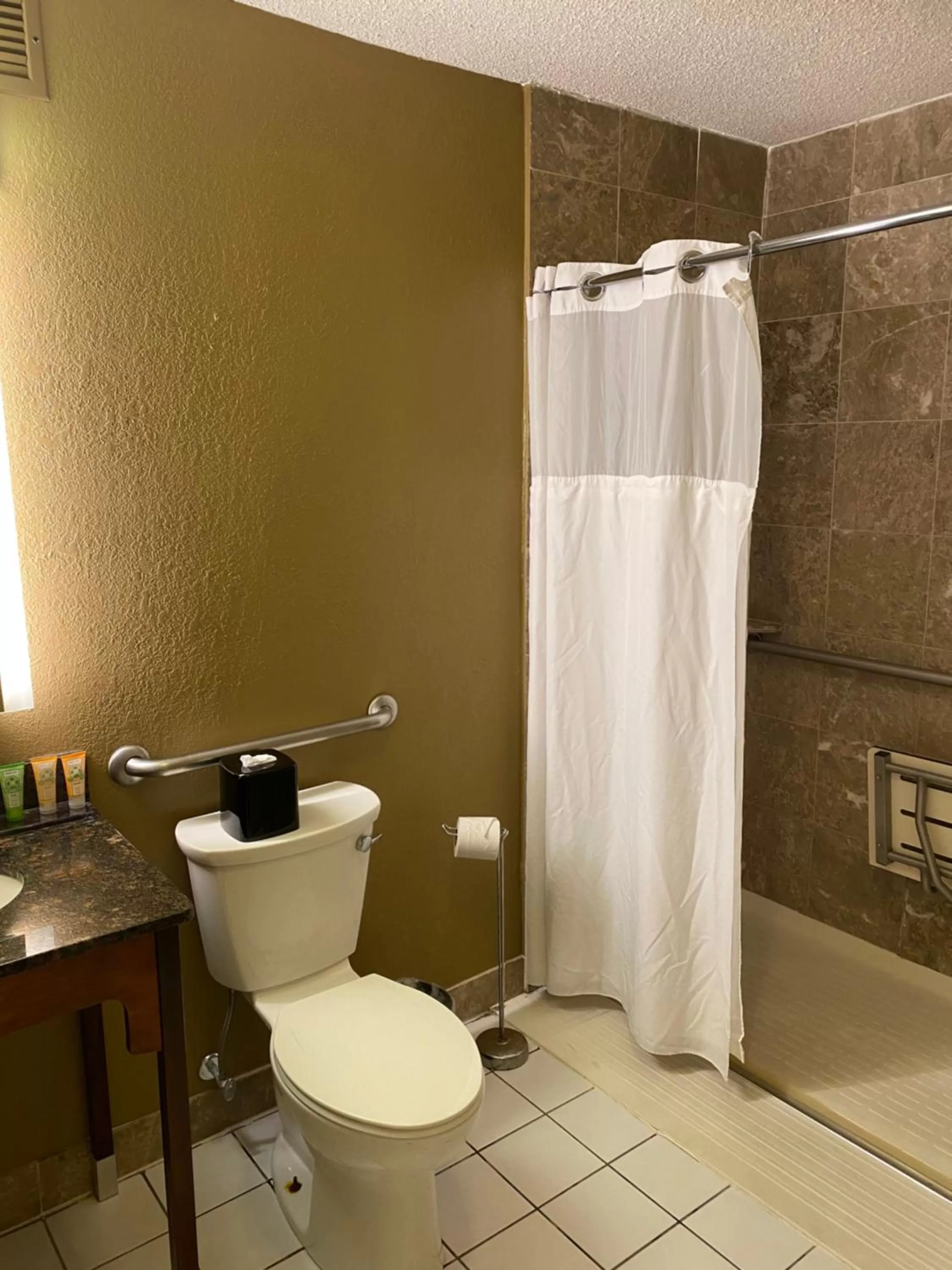 Mobility Accessible 1 King Bed Non Smoking, Free Wi-Fi in Wyndham Garden Warsaw