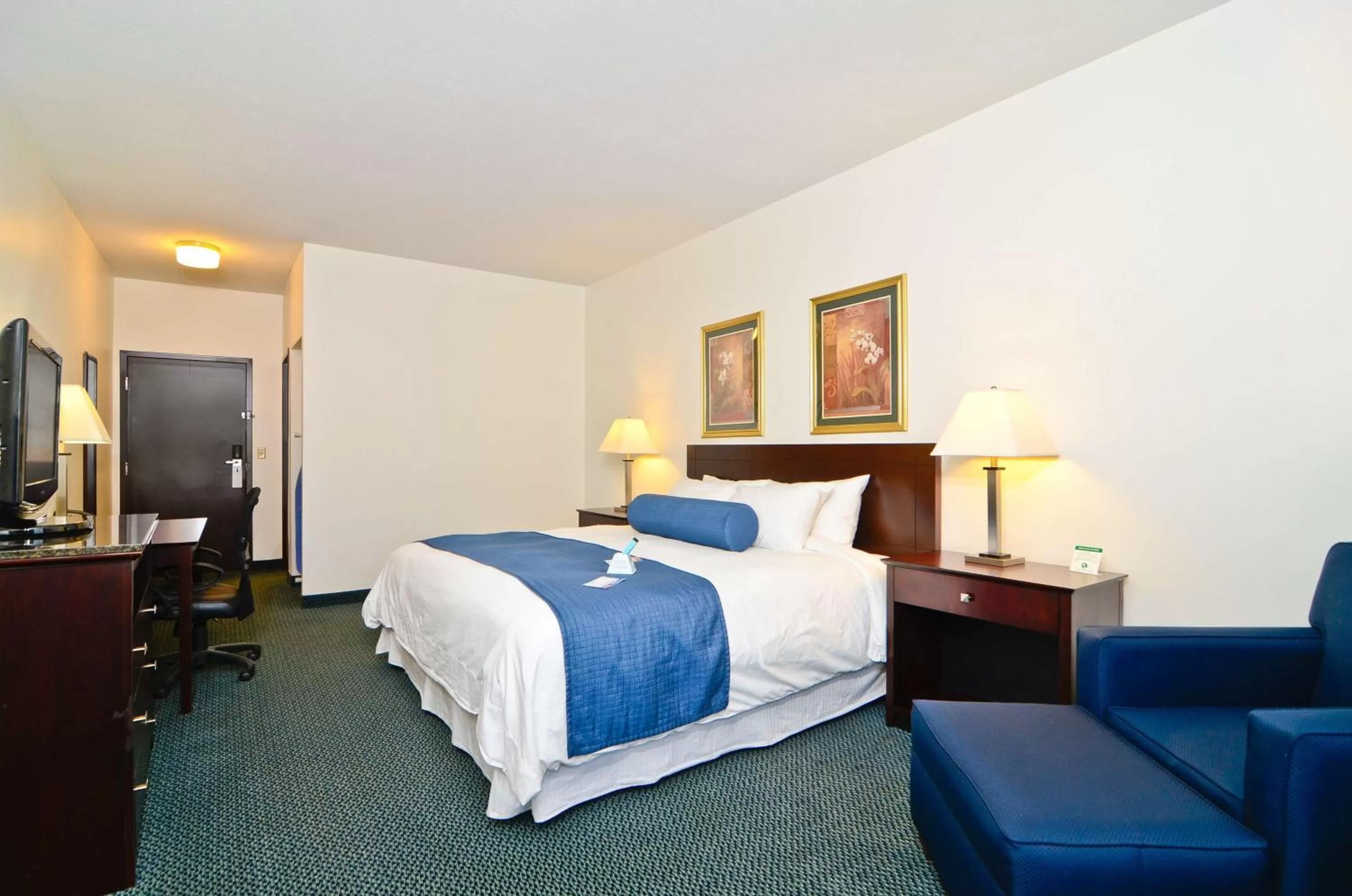King Room with Roll-in Shower - Disability Access/Non-Smoking in Best Western Gas City