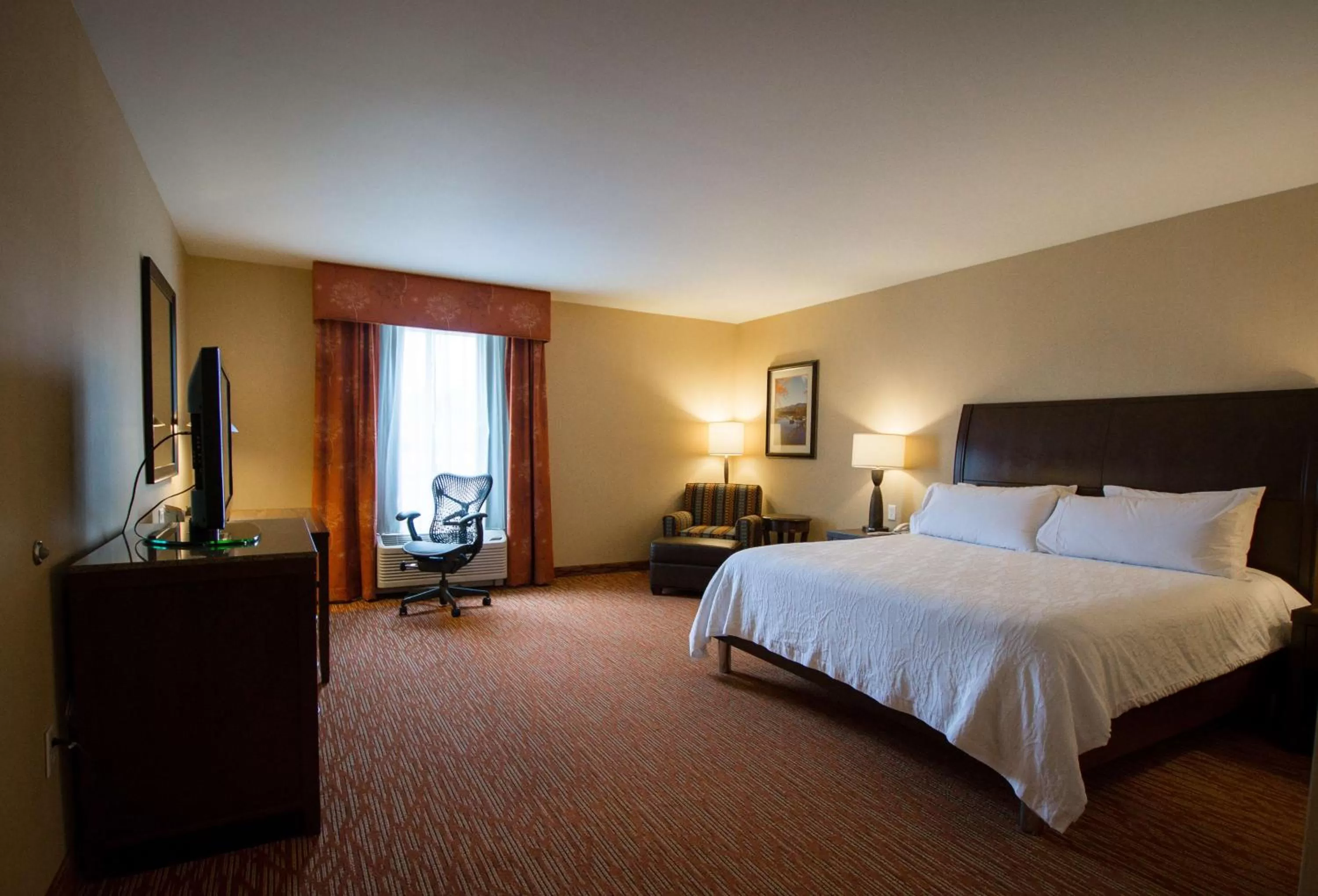 King Room with Roll-In Shower - Hearing Accessible/Non-Smoking in Hilton Garden Inn Watertown