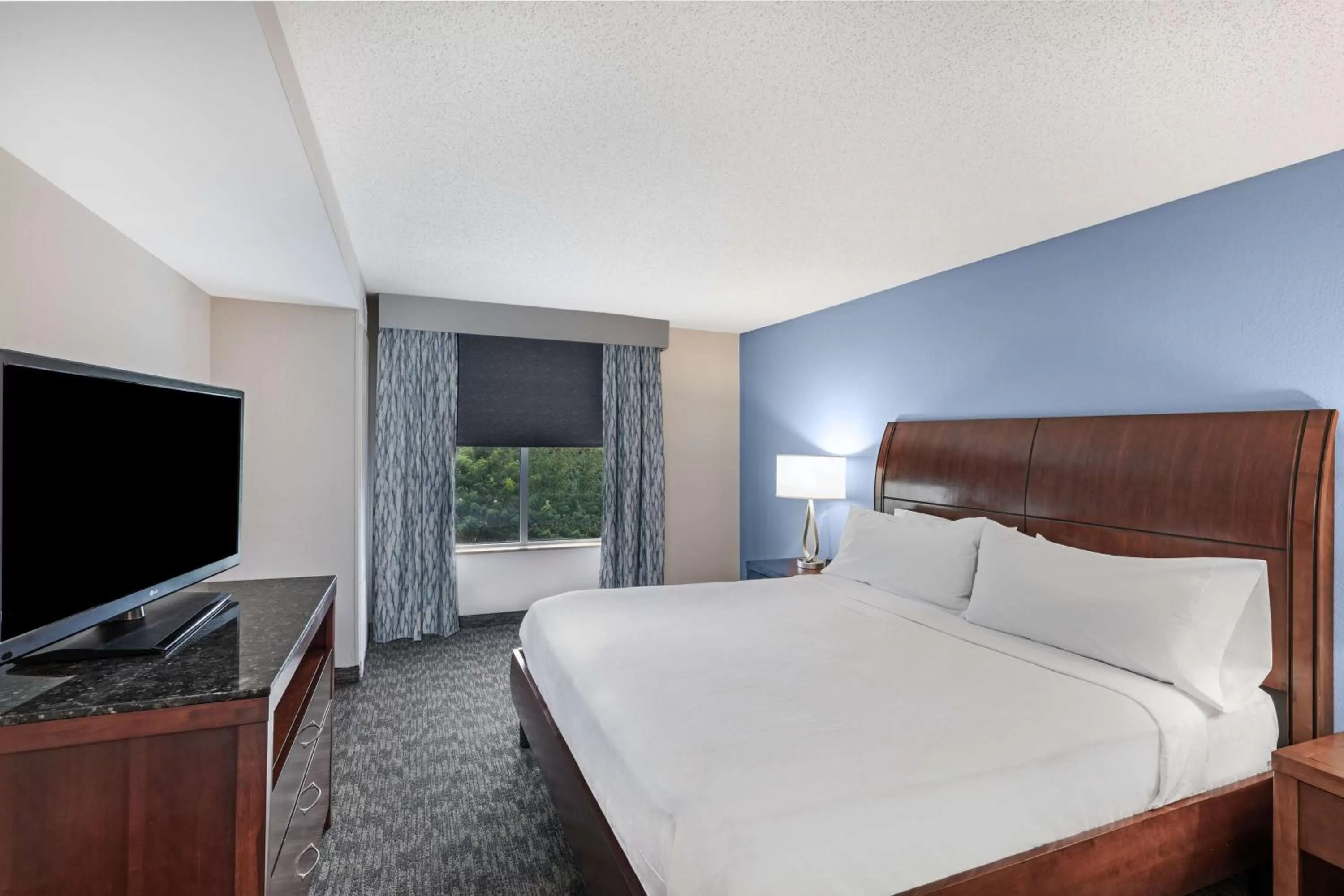 Junior King Suite with Seating Area in Hilton Garden Inn Aiken