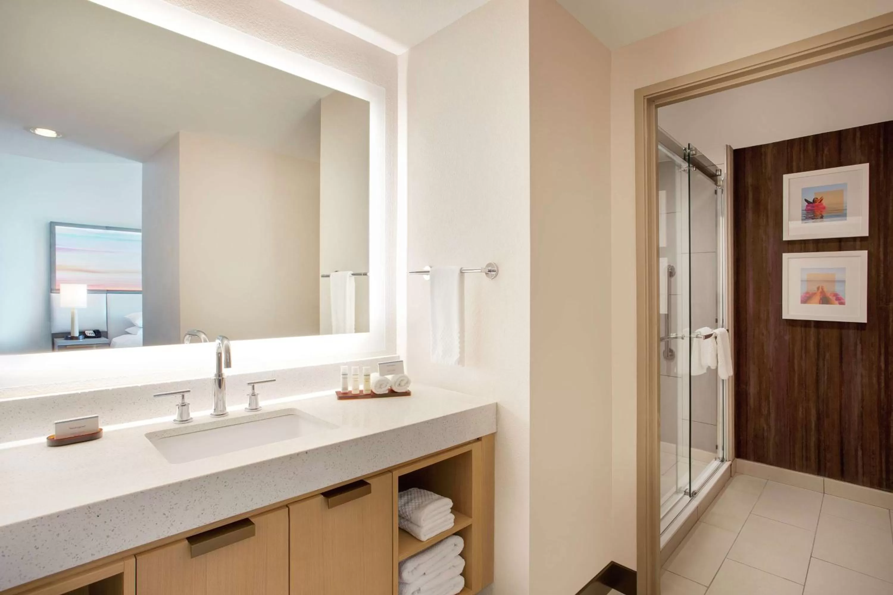 King Suite with Bay View - Non-Smoking in Embassy Suites by Hilton Tampa Downtown Convention Center