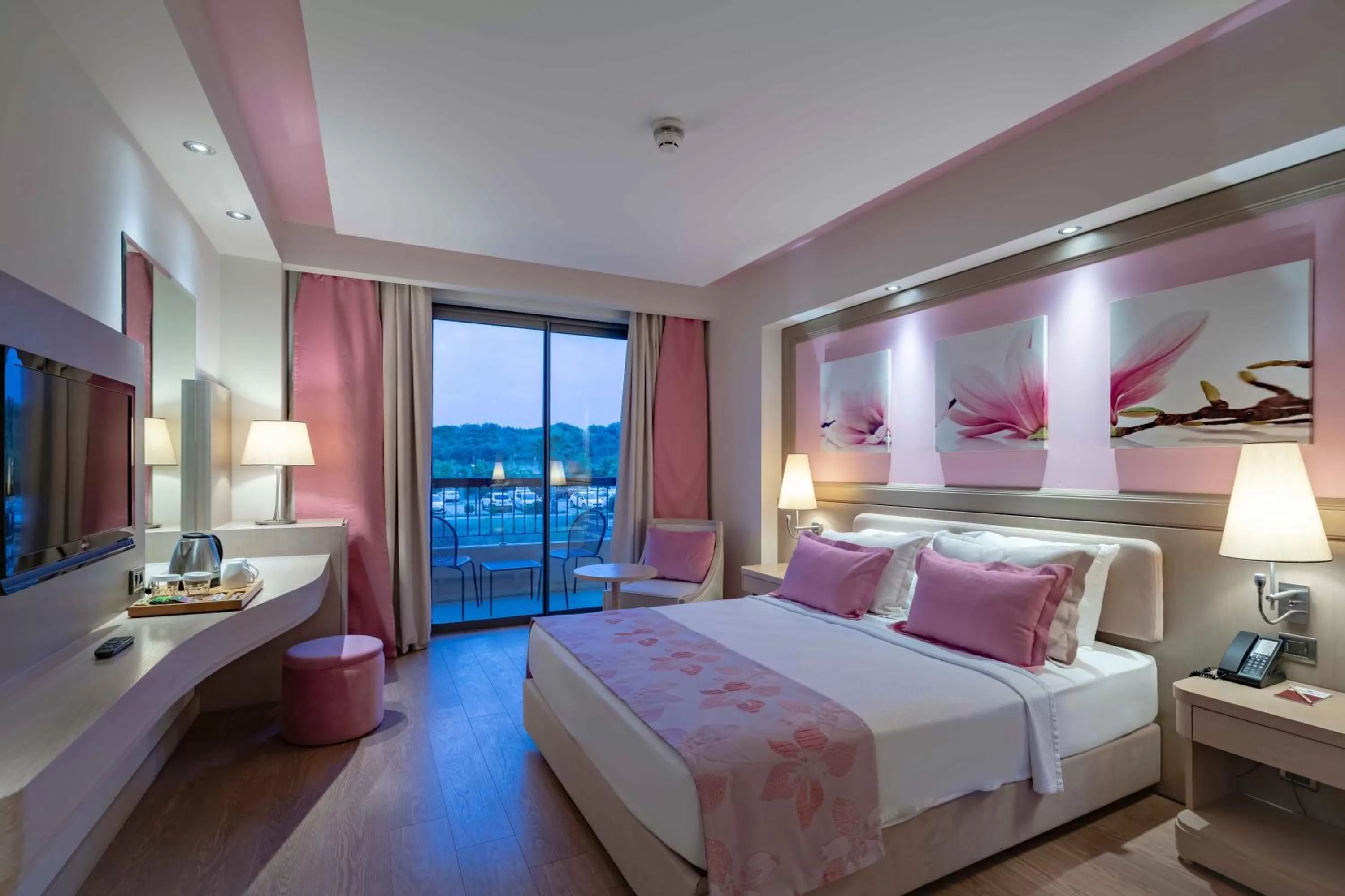 Standard Room with Land View - single occupancy in Royal Teos Thermal Resort Clinic & Spa - Halal Hotel