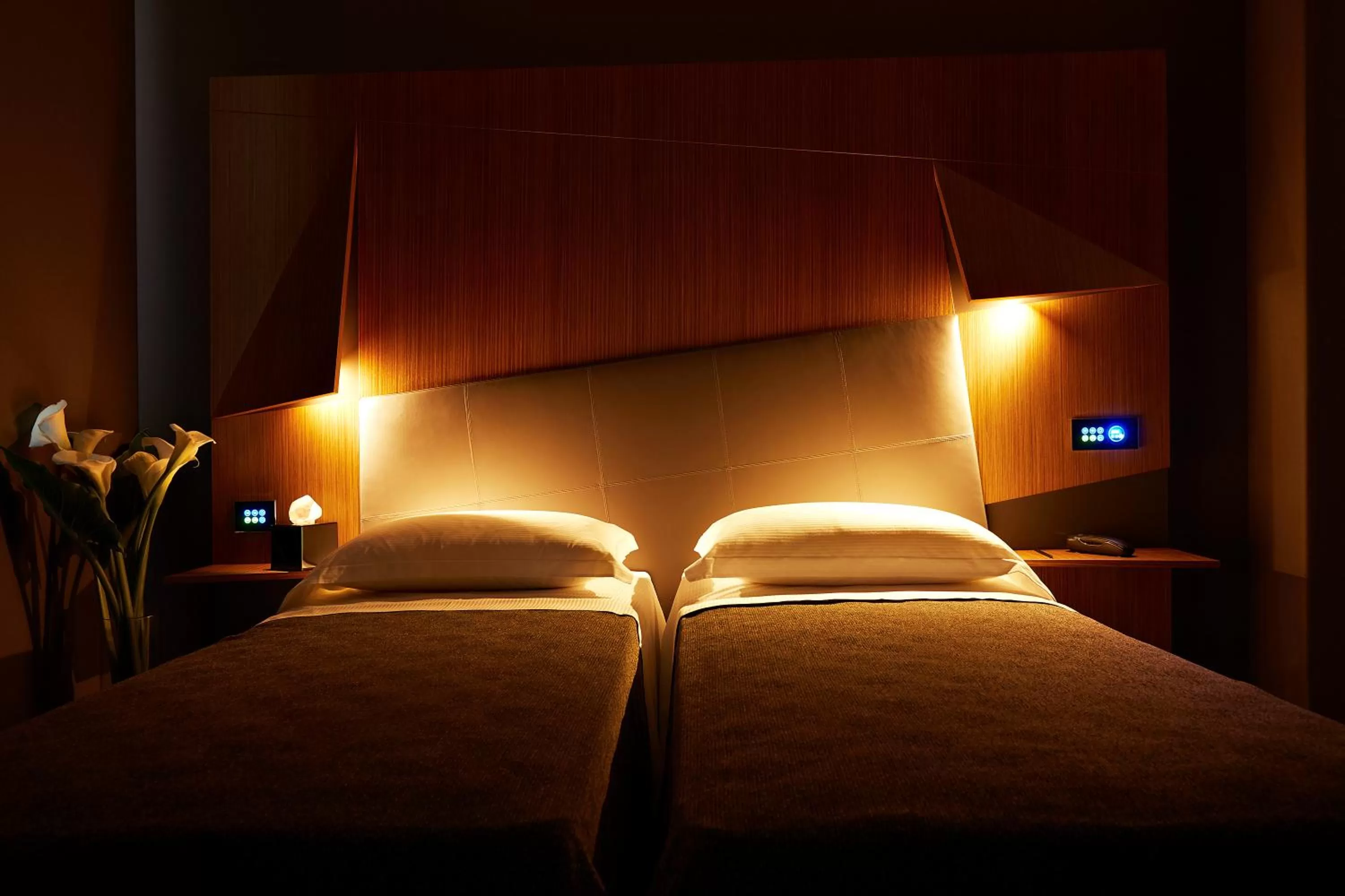 Superior Double or Twin Room with Terrace in Hotel The Building