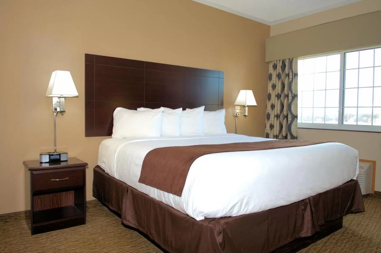 Standard King Suite in Rock Island Inn & Suites