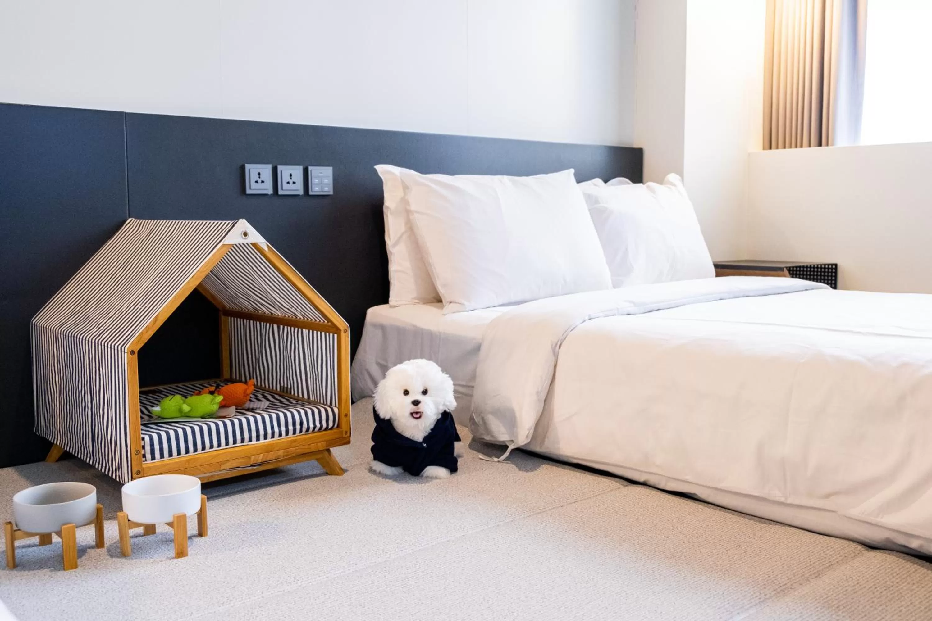 Double Room with Two Double Beds - Dog Allowed in Hotel Cappuccino