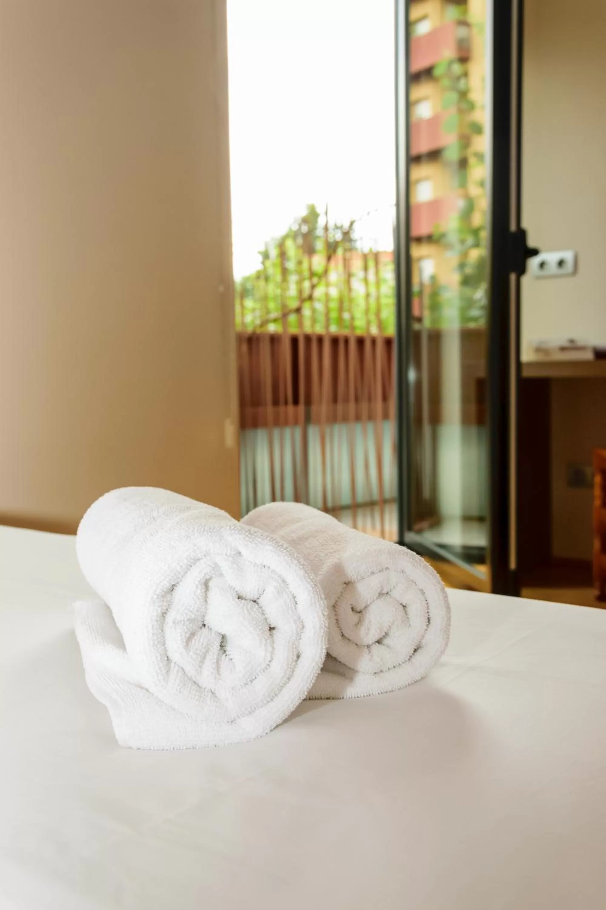 Double Room in Hotel Estació