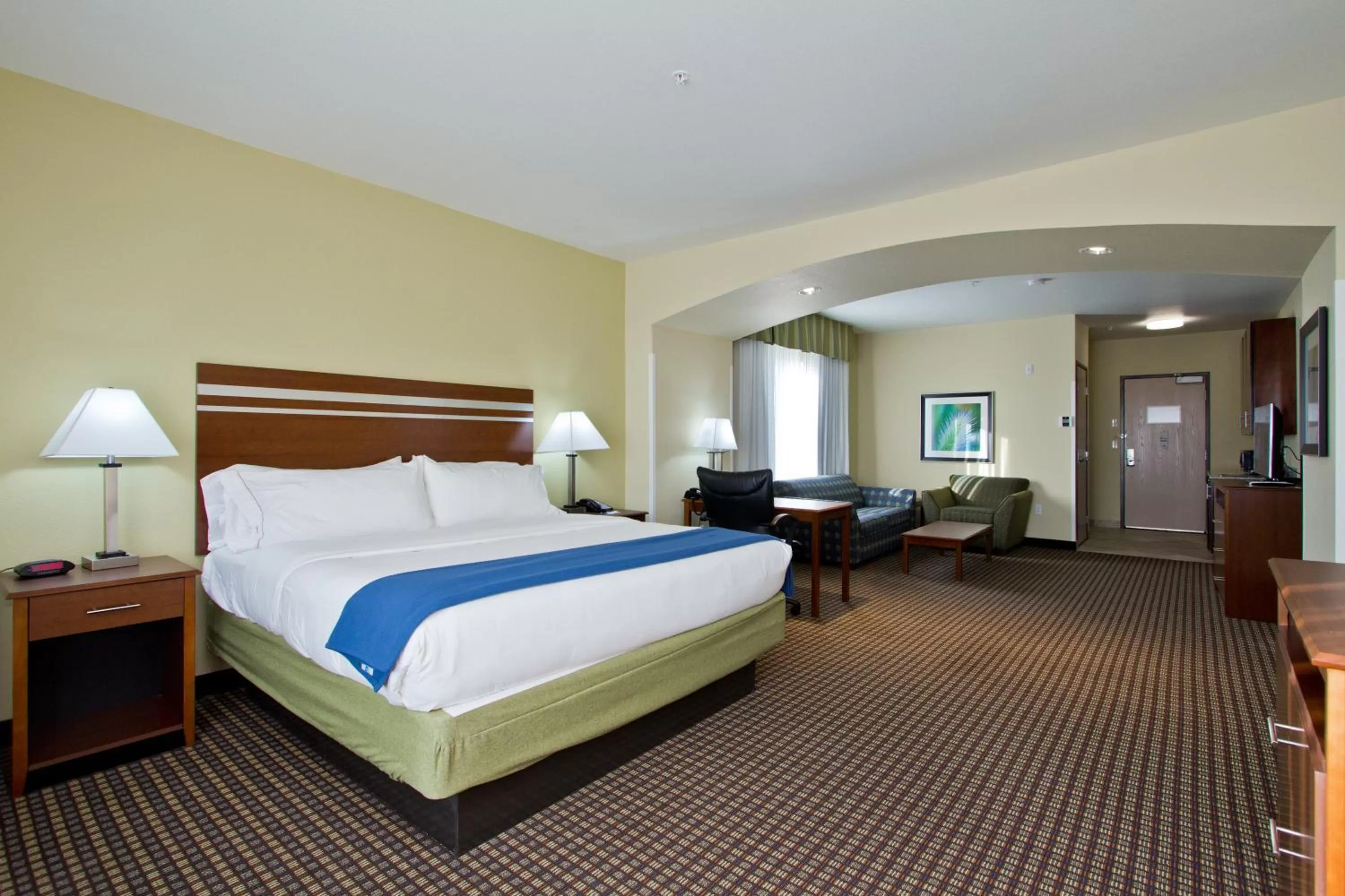 Junior King Suite - Wheelchair Accessible in Holiday Inn Express and Suites Denver East Peoria Street by IHG
