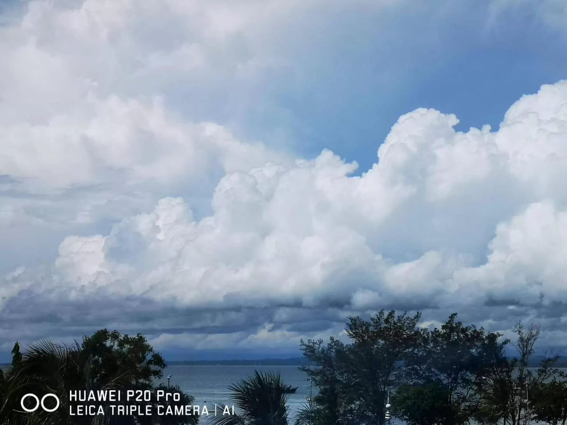 Deluxe Twin Room with Sea View in City Garden Hotel