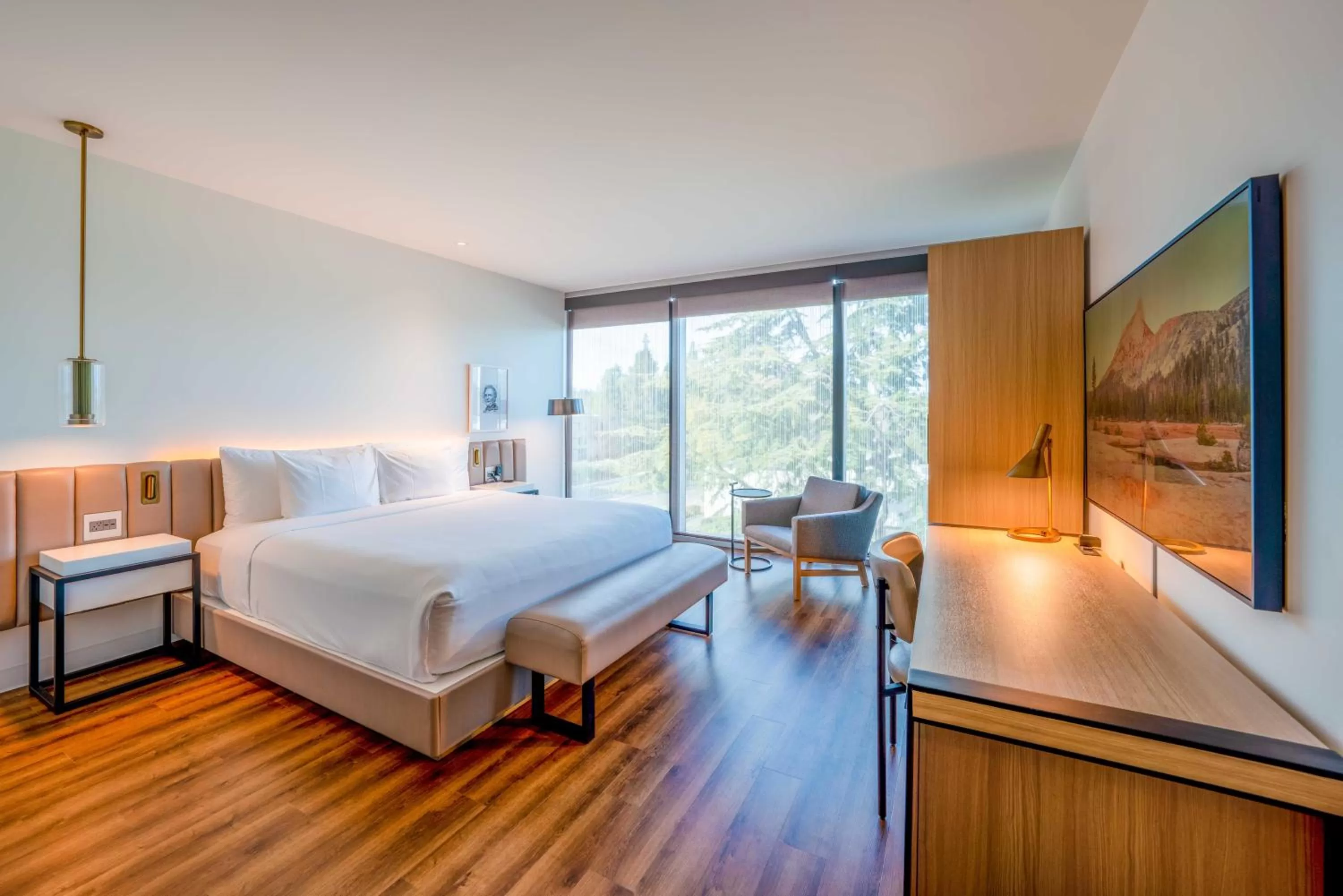 Premium King in Shashi Hotel Mountain View, an Urban Resort