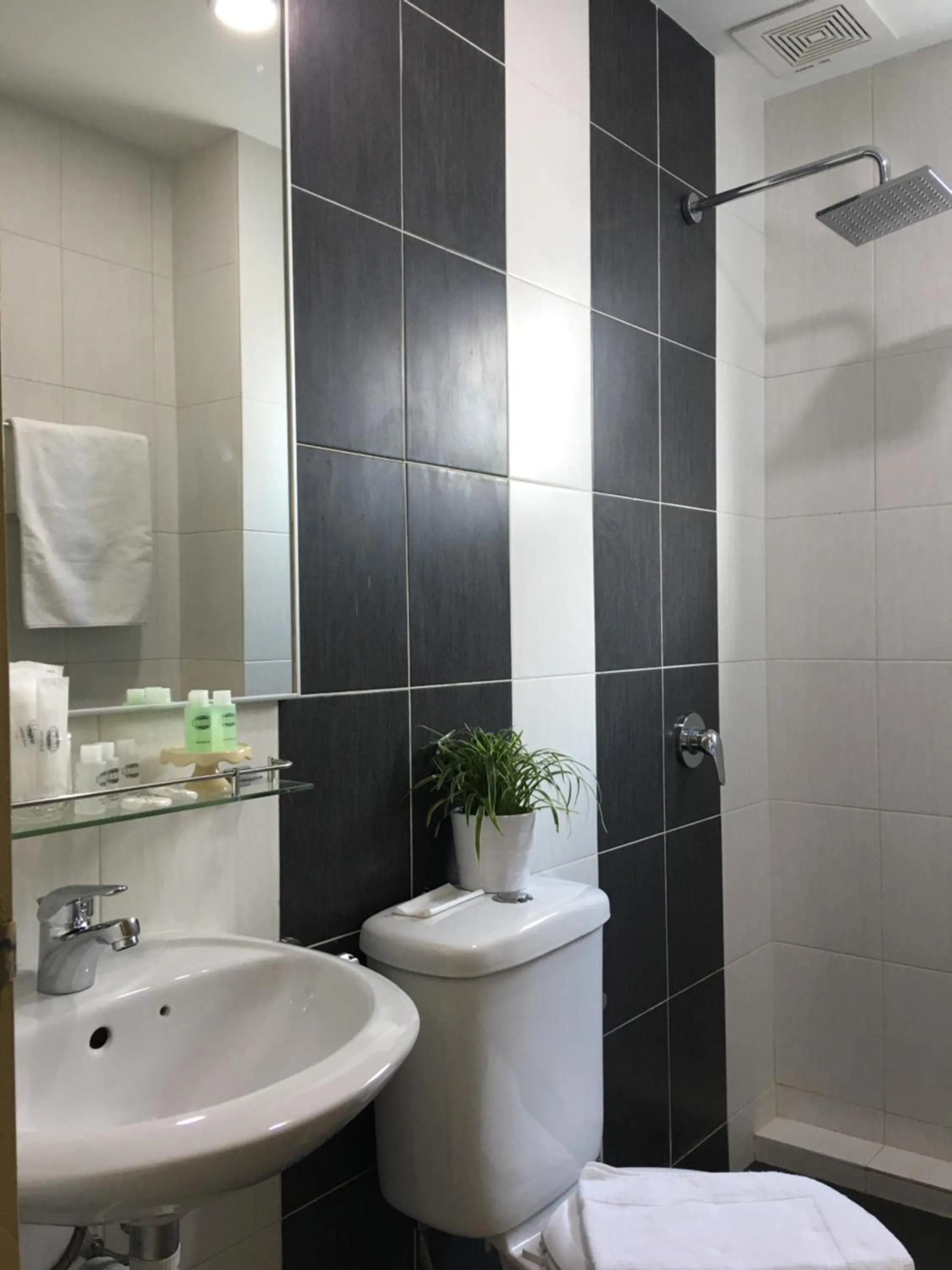 Twin Room in Chemara Boutique Hotel