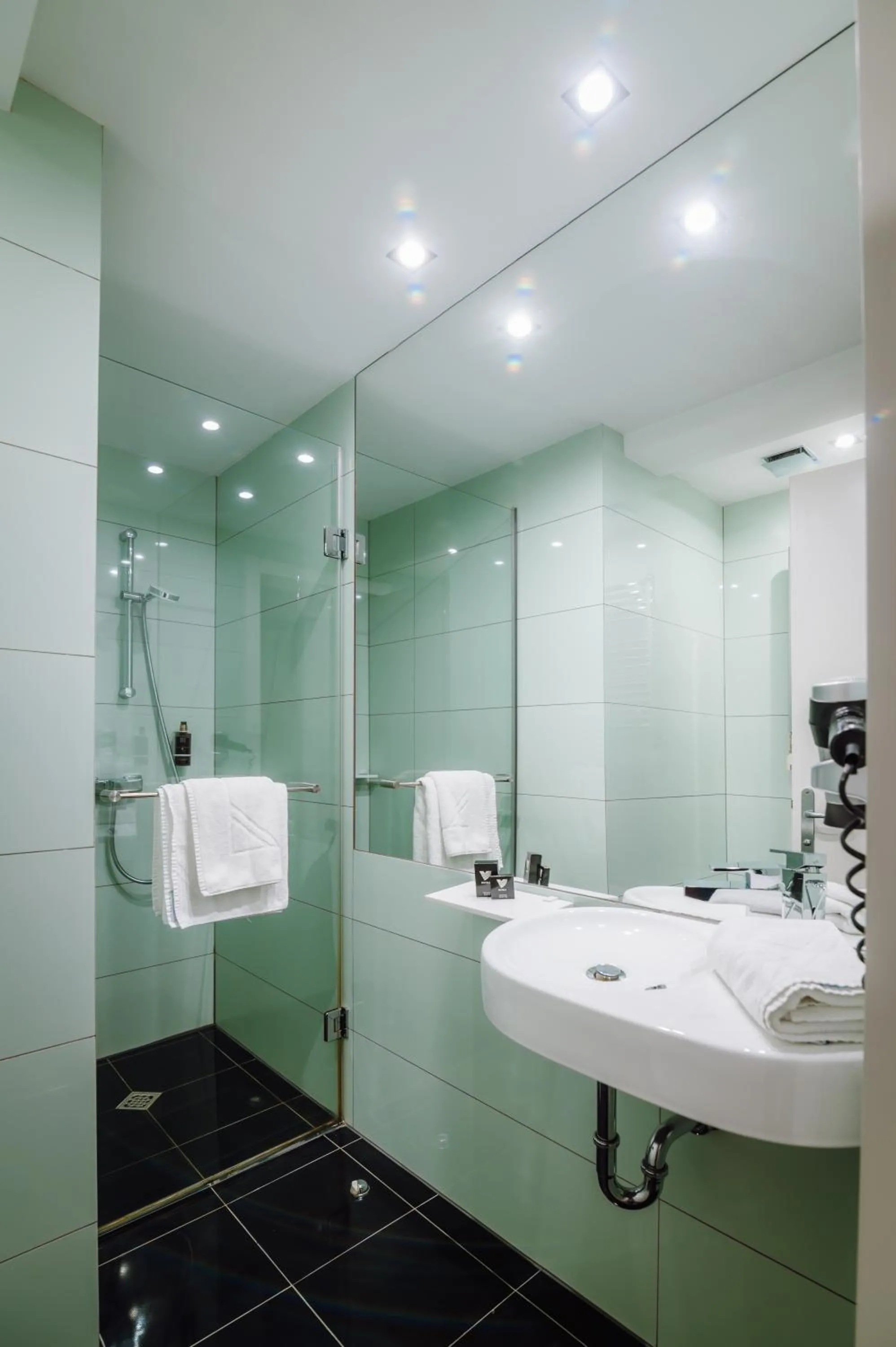 Business Double or Twin Room 4* in Plaza V Hotel