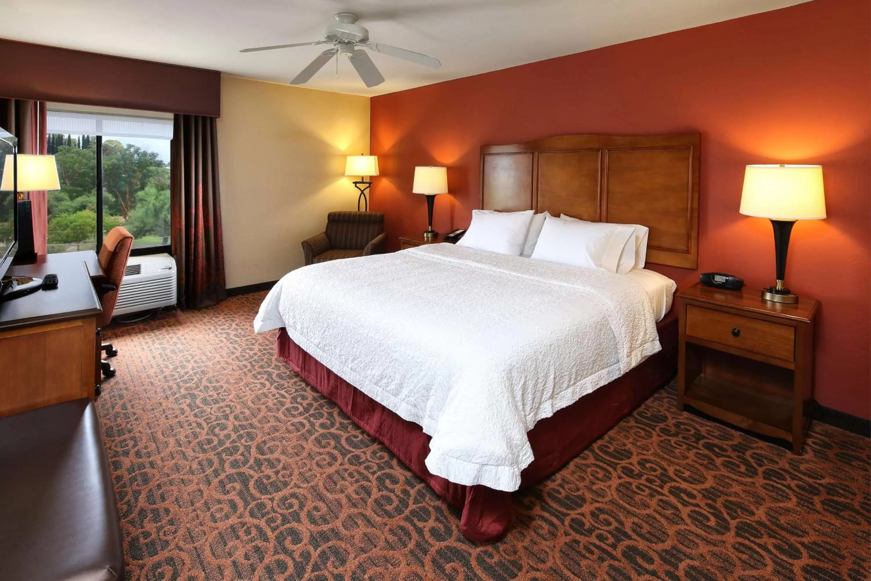 Queen Room with Mobility Access/Non-Smoking in Hampton Inn & Suites Tucson Mall