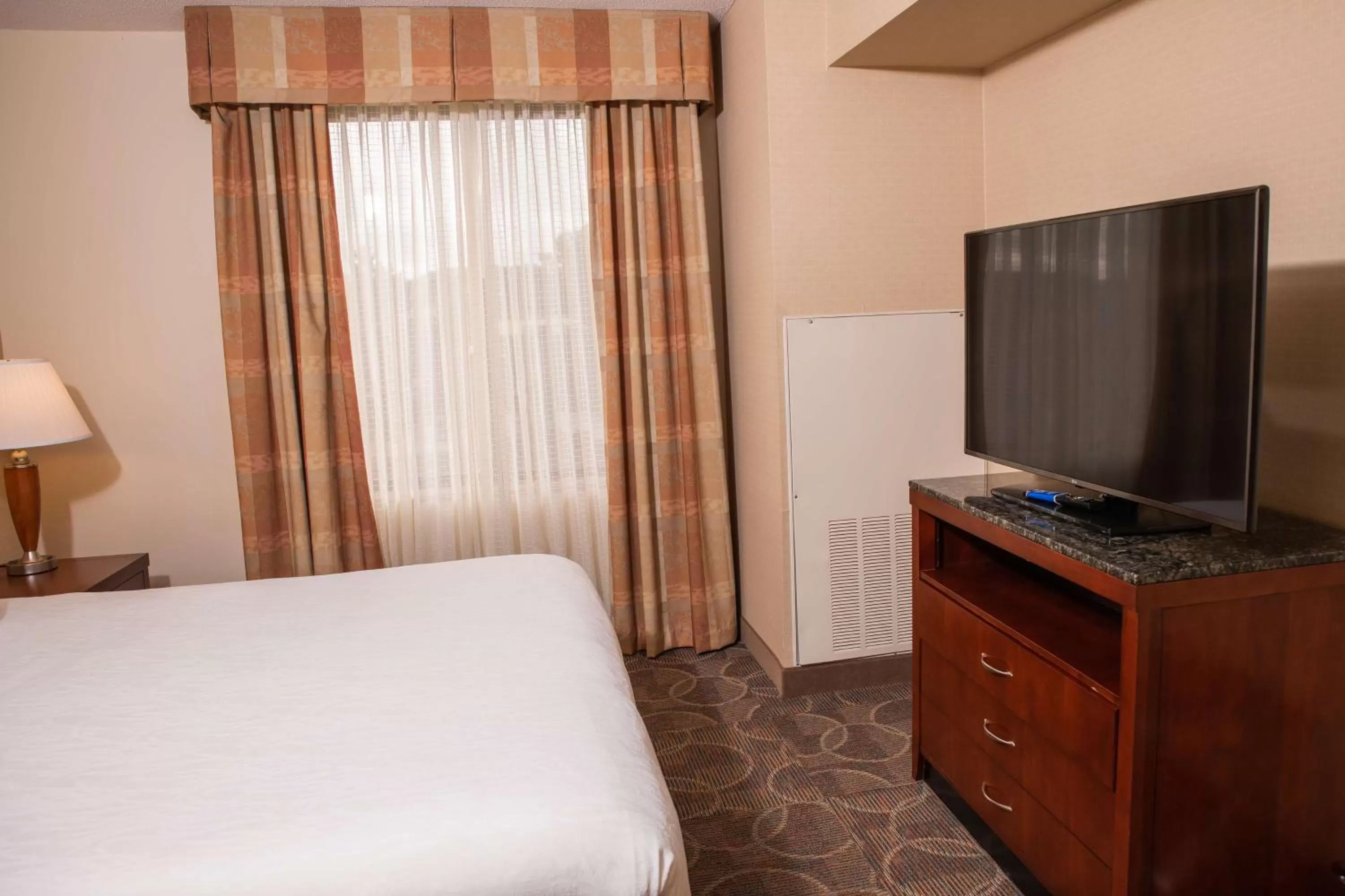 One-Bedroom King Suite - Non-Smoking in Hilton Garden Inn Erie