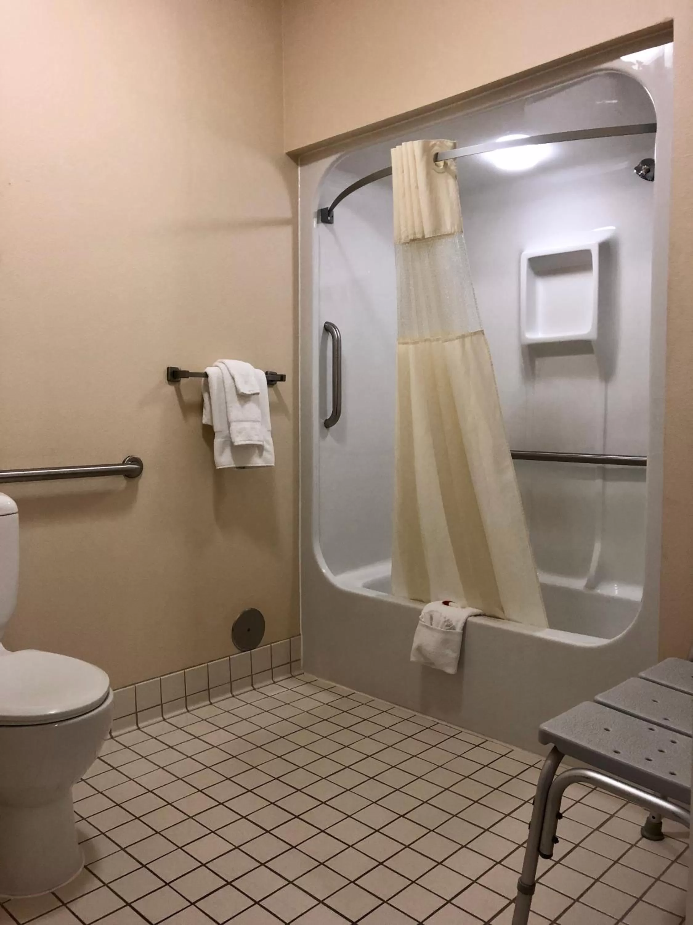 King Room - Disability Access in Baymont by Wyndham Grand Rapids SW/Byron Center