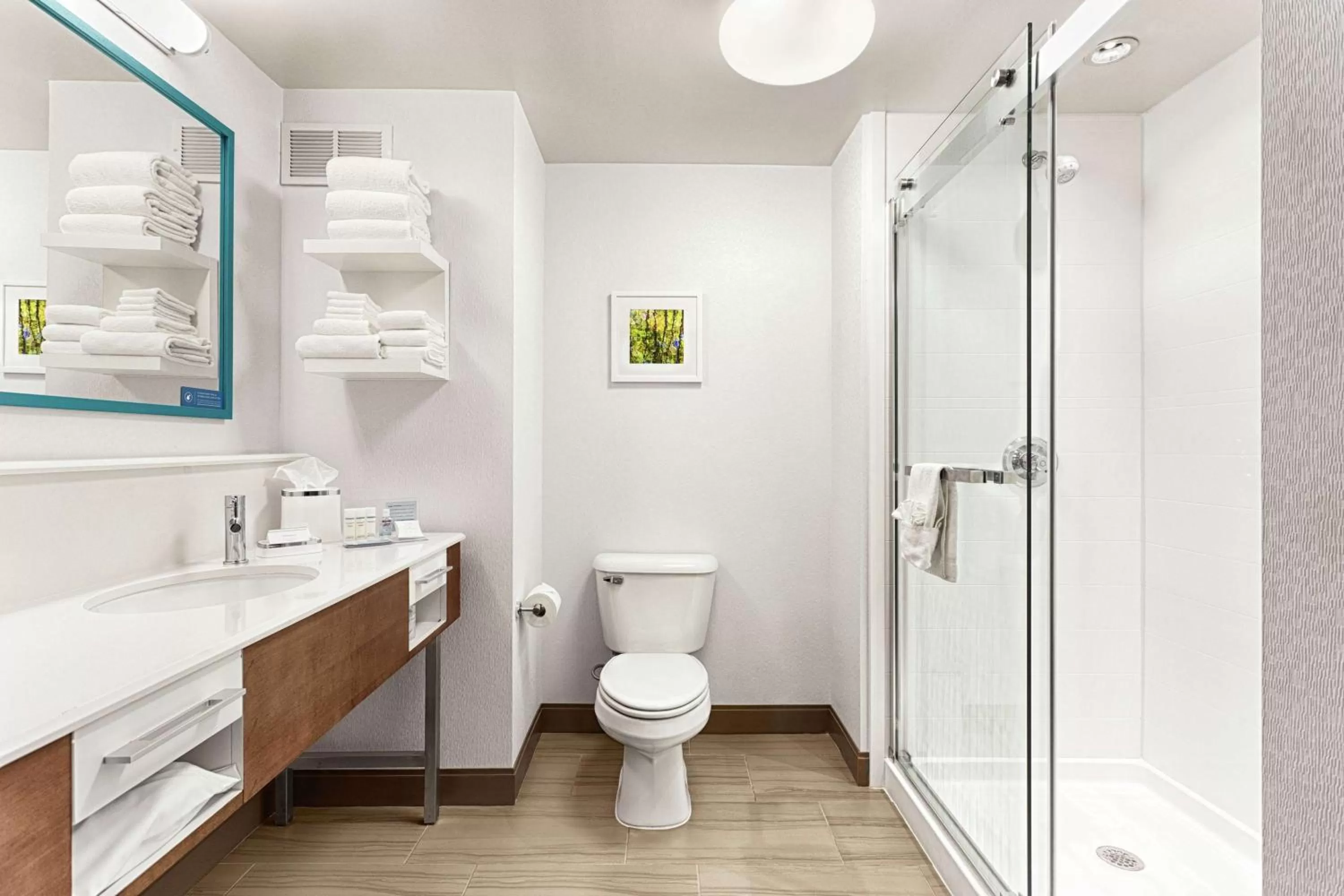 Studio Suite with Queen Bed - Shower Only/Nonsmoking in Hampton Inn Morganton