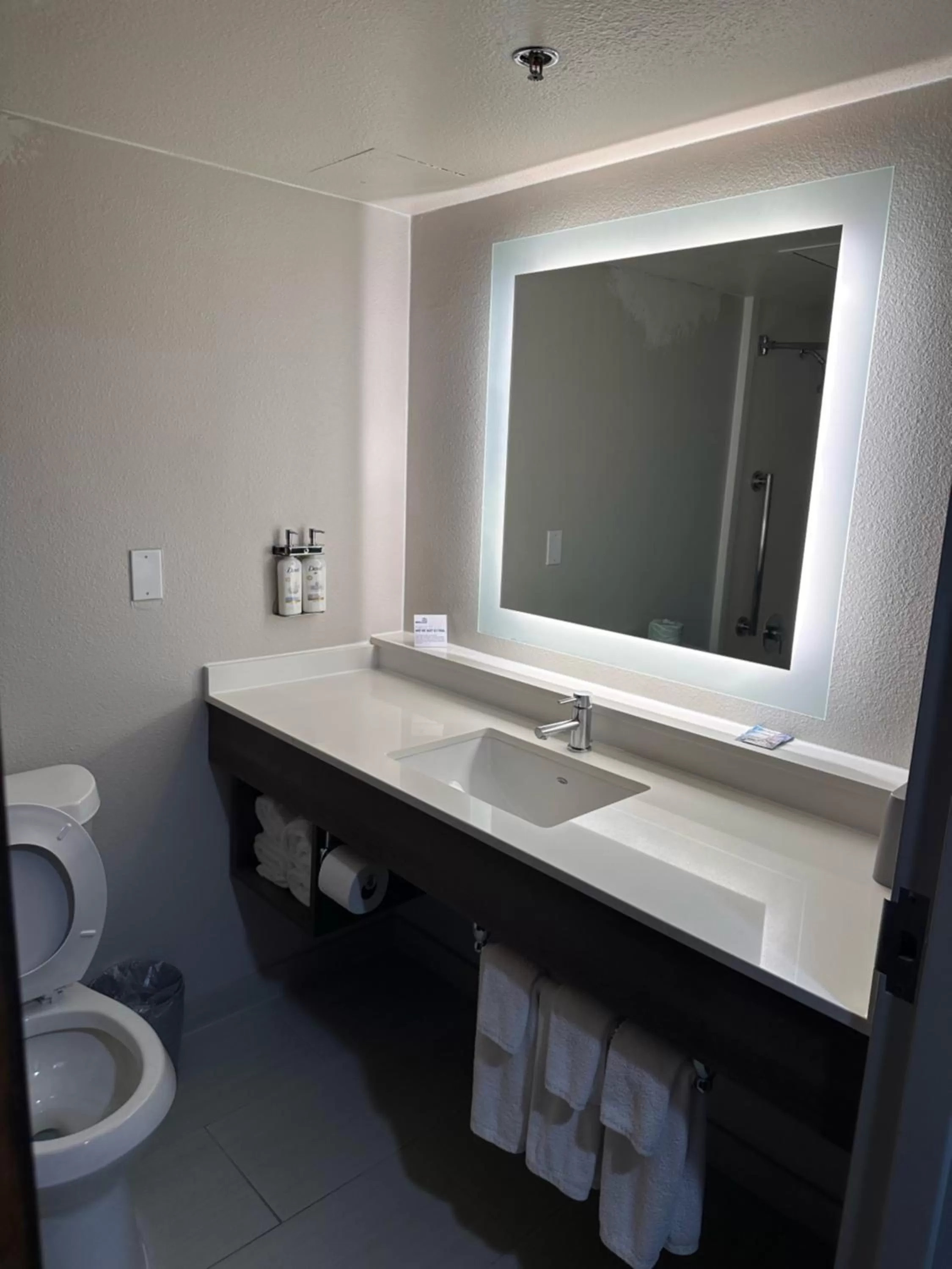 Toilet, Bathroom in Holiday Inn Express Hotel and Suites Mesquite, an IHG Hotel