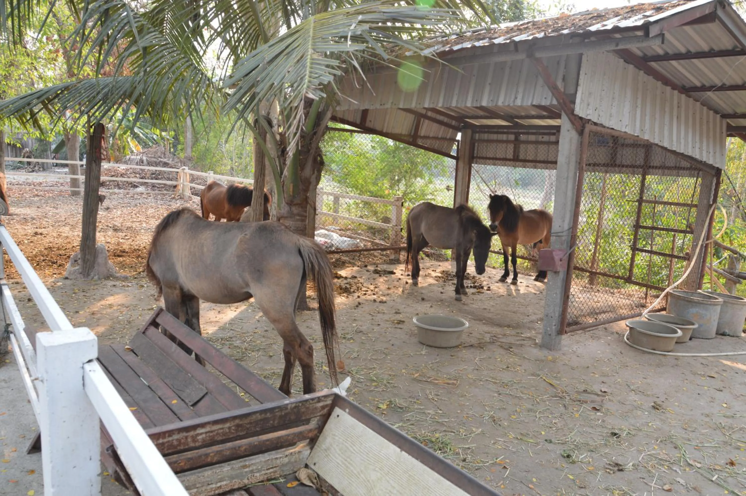 Deluxe Double Room with Garden View in Scenic Riverside Resort