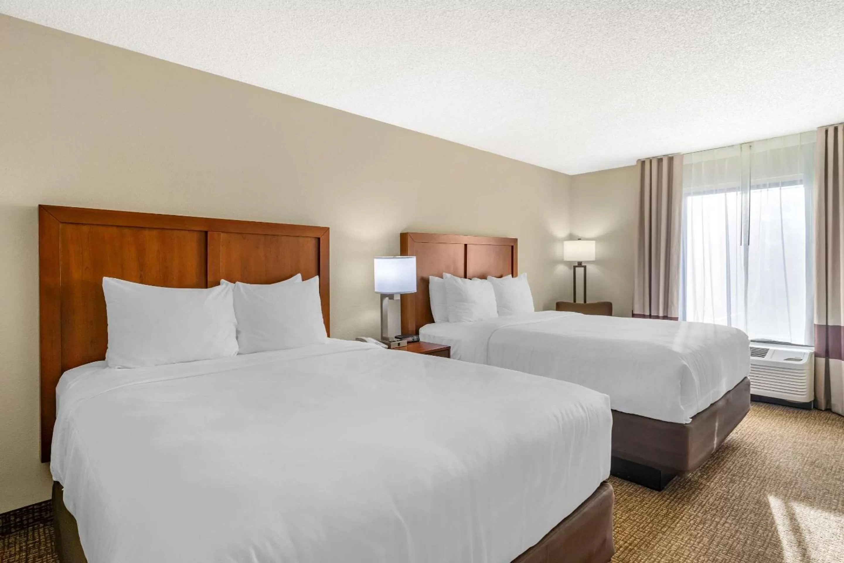 Standard Queen Room with Two Queen Beds - Non-Smoking in Comfort Inn & Suites St Pete - Clearwater International Airport