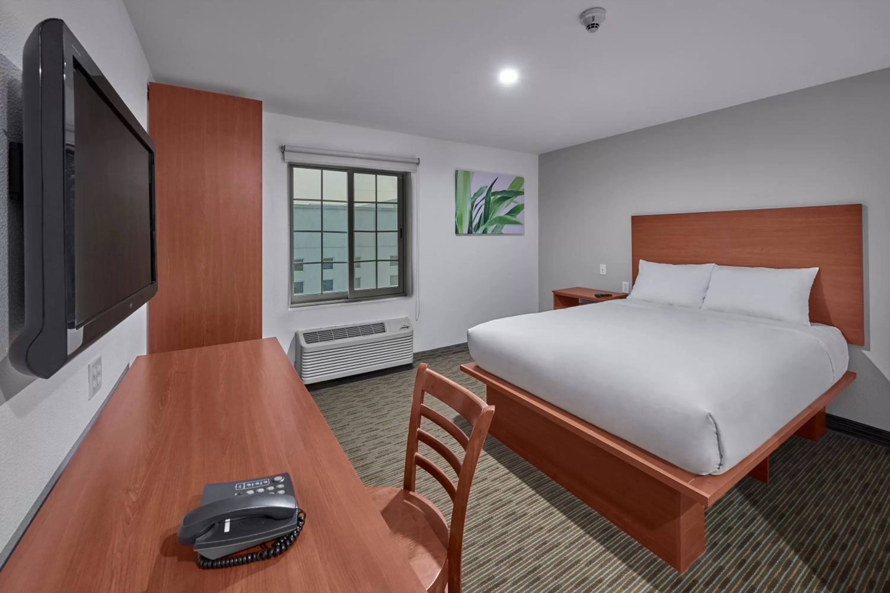 Queen Suite in Extended Suites Monterrey Aeropuerto