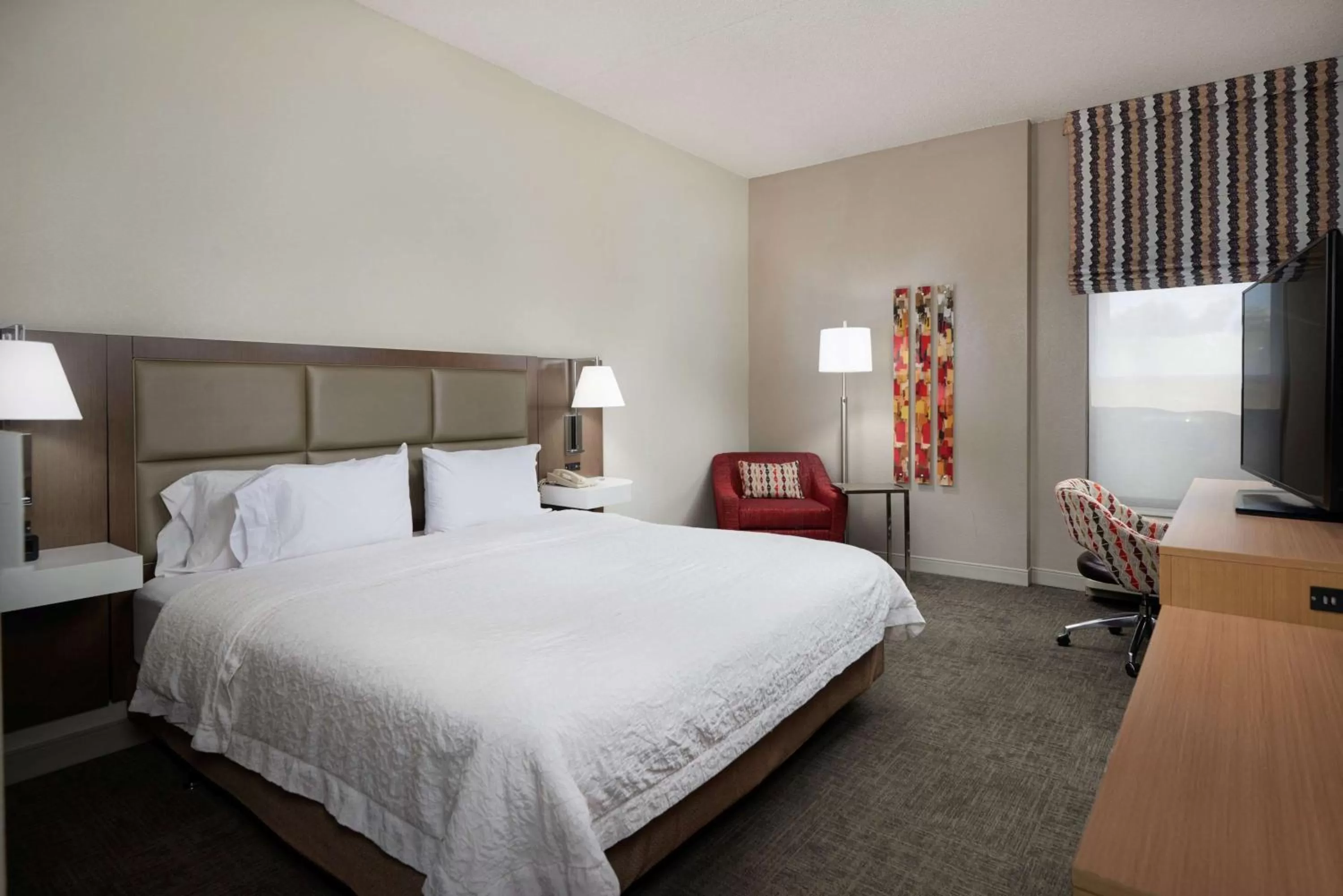 King Room with Roll-In Shower - Mobility and Hearing Access/Non-Smoking in Hampton Inn Glendale-Peoria