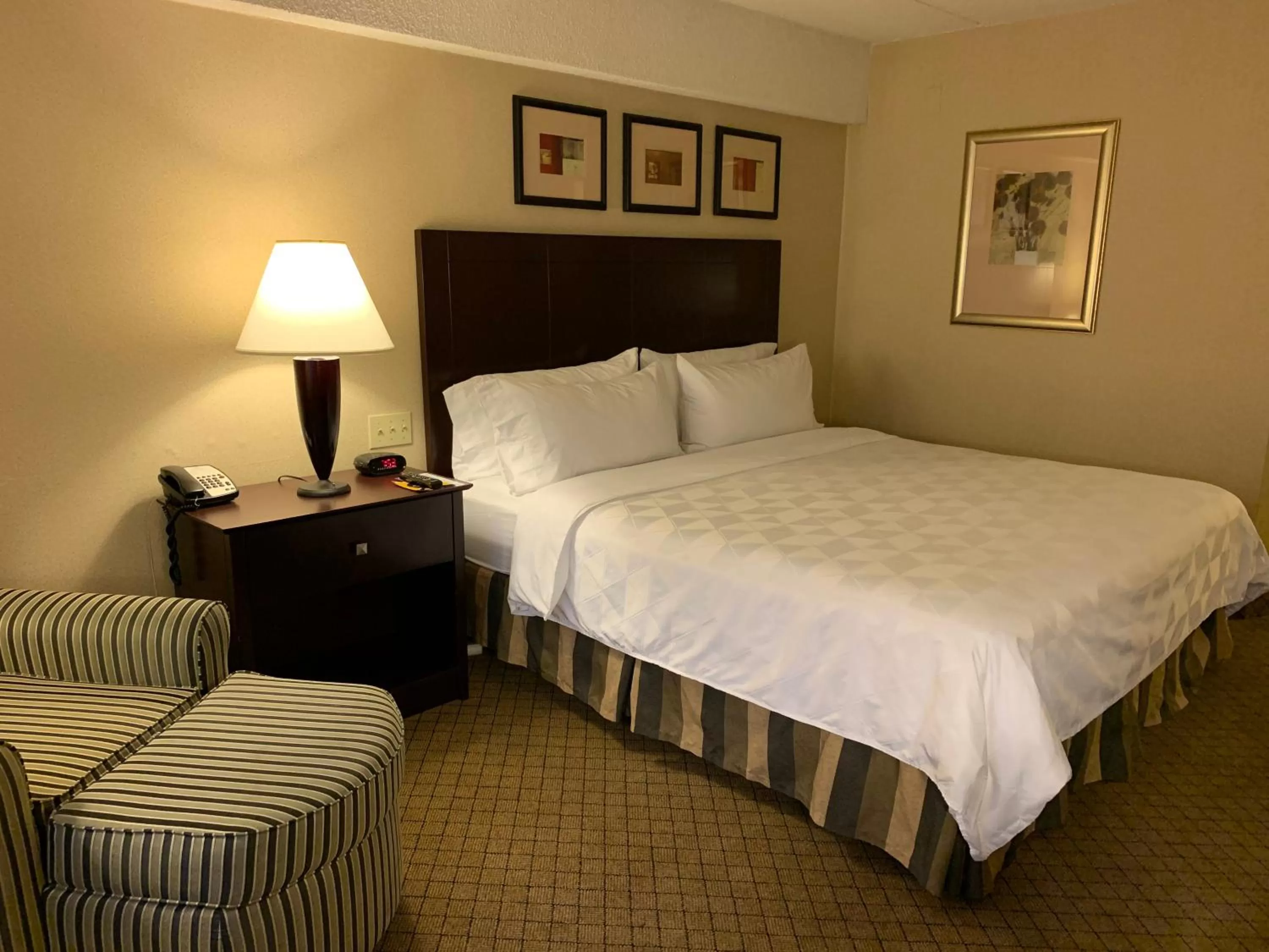 Premium King Room in Holiday Inn Johnstown-Downtown by IHG