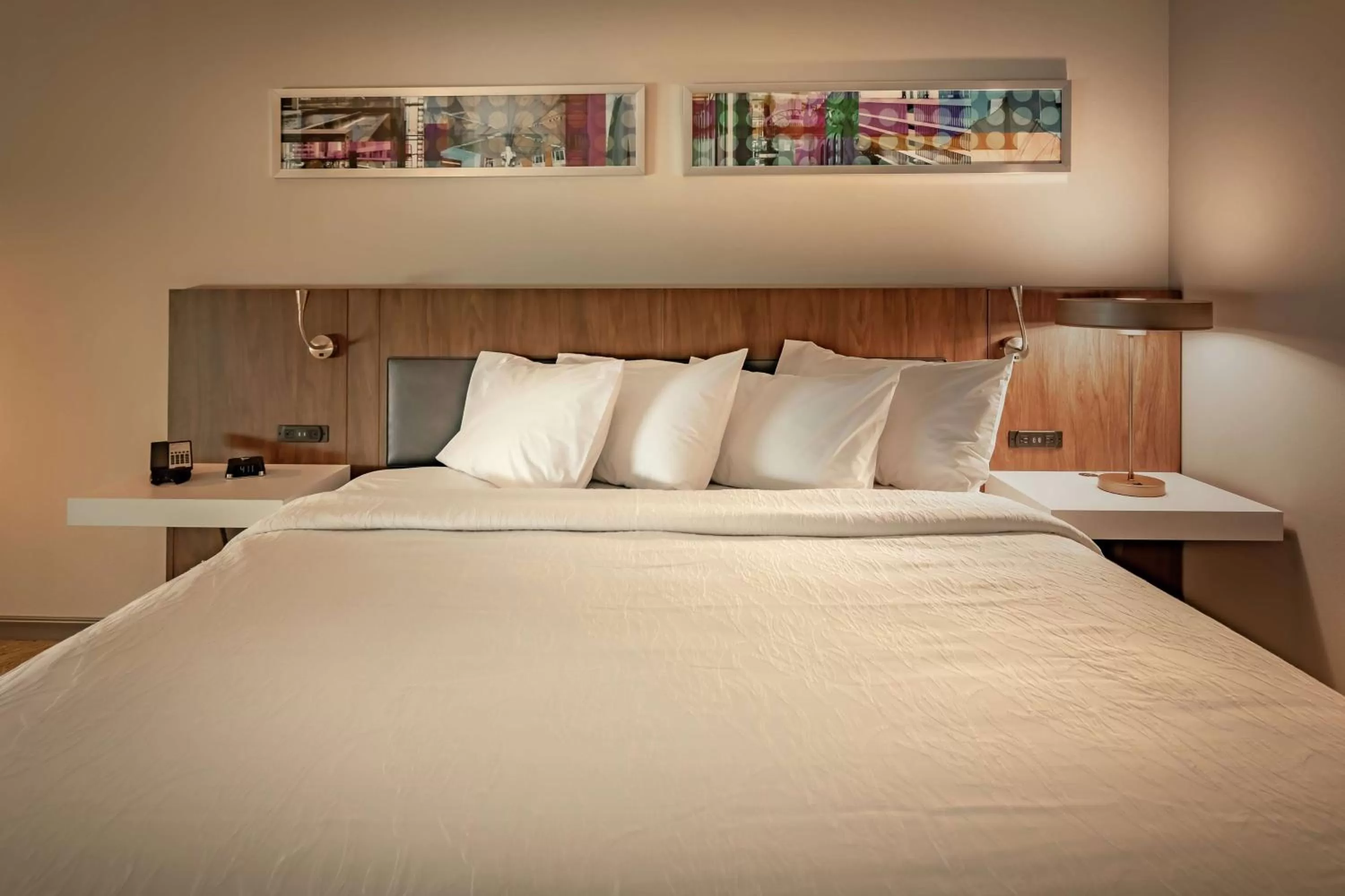 King Room with Sofa Bed in Hilton Garden Inn Dallas At Hurst Conference Center