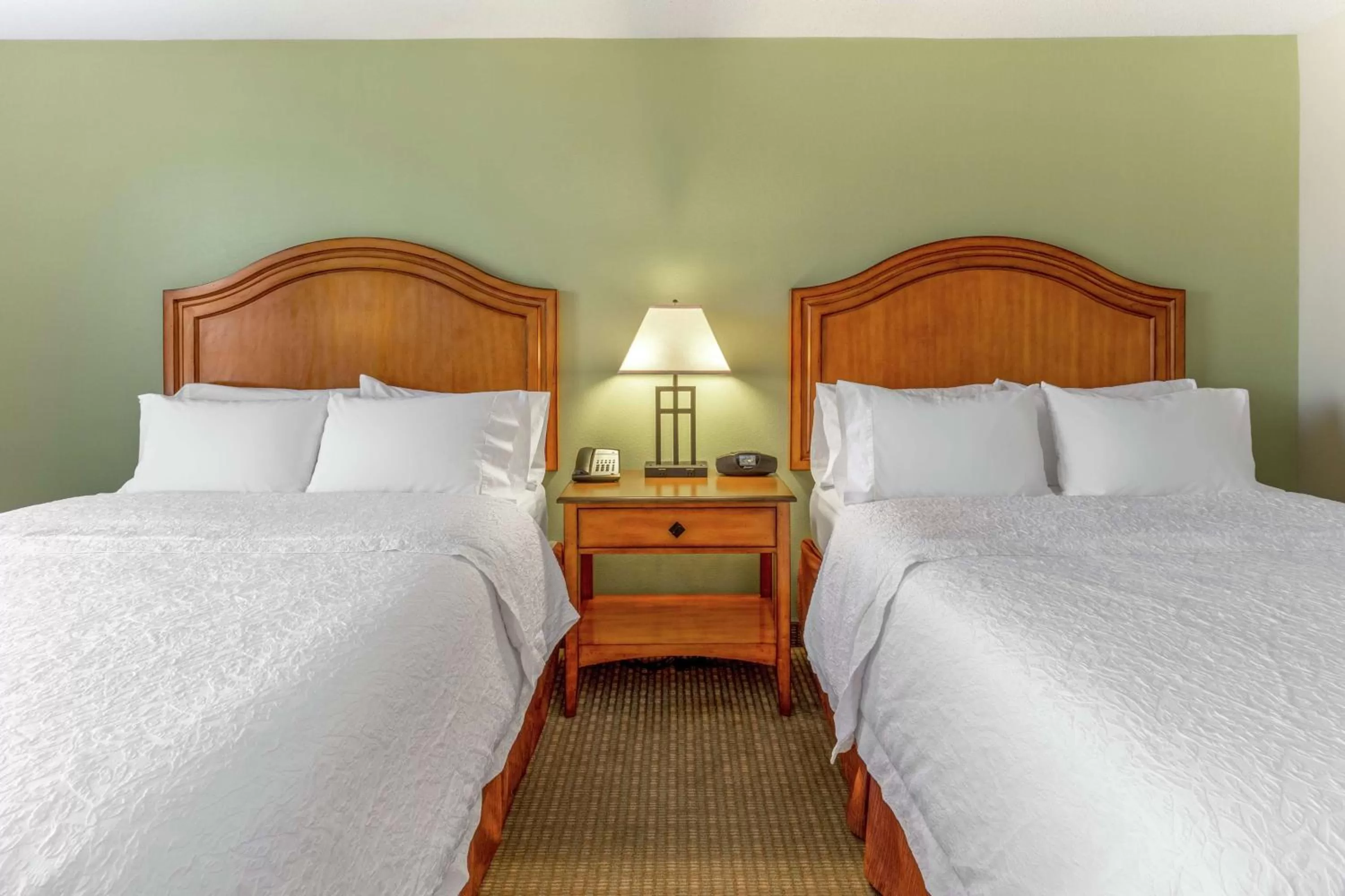 Non-Smoking Queen Room with Refrigerator and Microwave in Hampton Inn Okeechobee - Lake Okeechobee