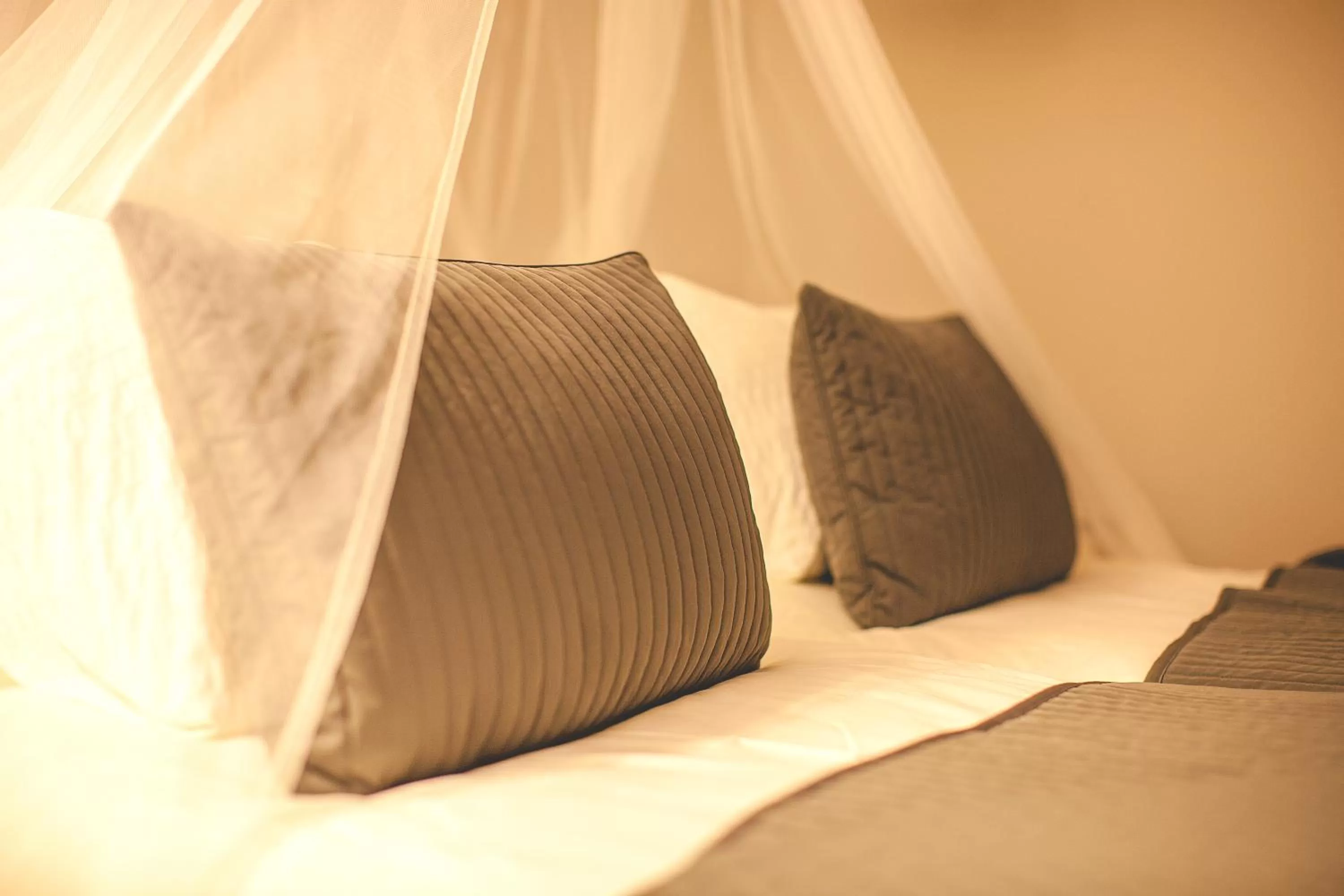 One-Bedroom Apartment with Pool View in Hotel Bodega El Juncal